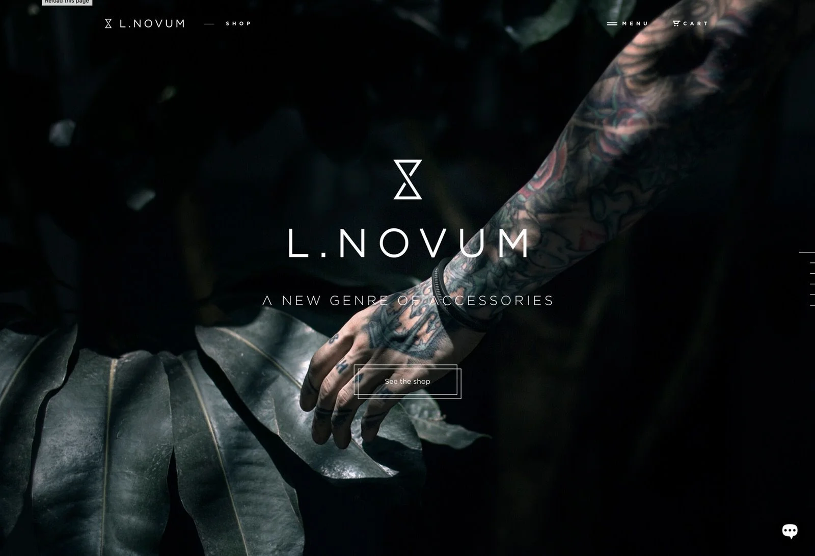 L.NOVUM_.jpg