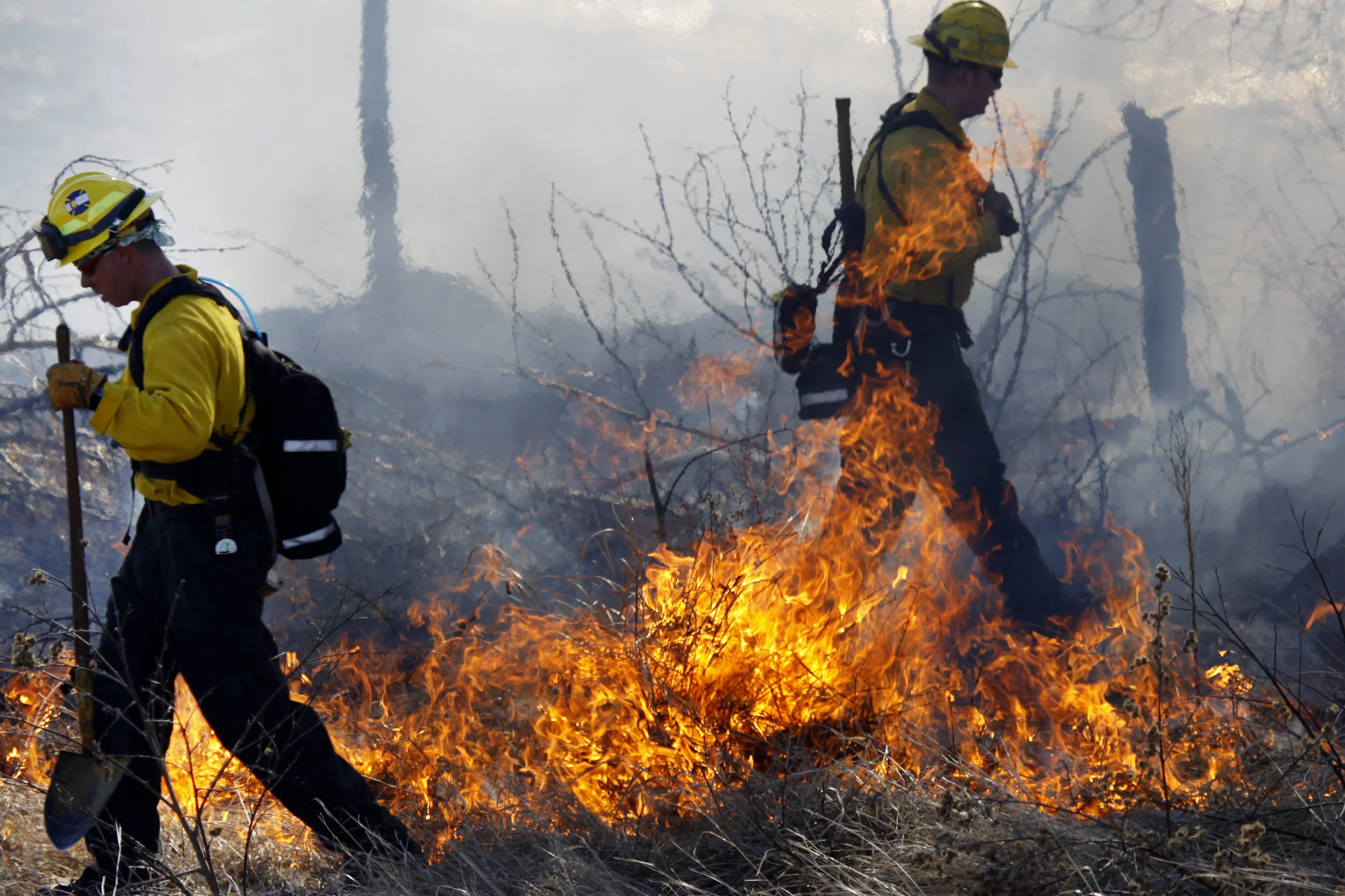 06_MG_9869crop copy.jpg