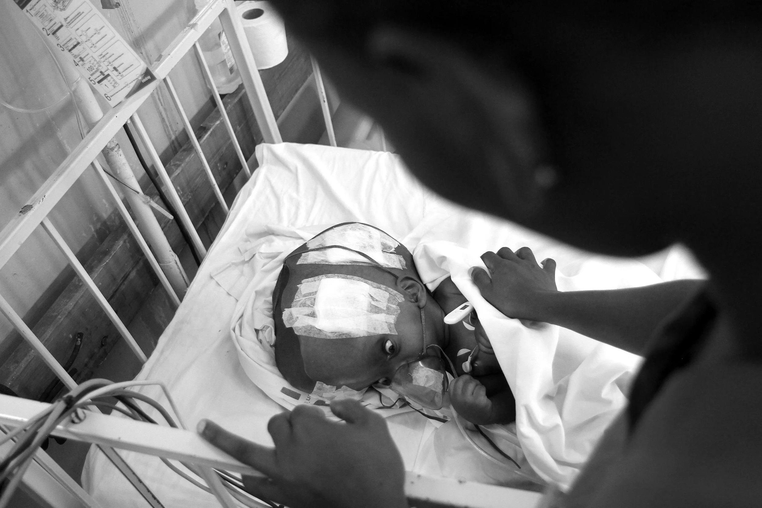 13_MG_3980_Crop copy.jpg