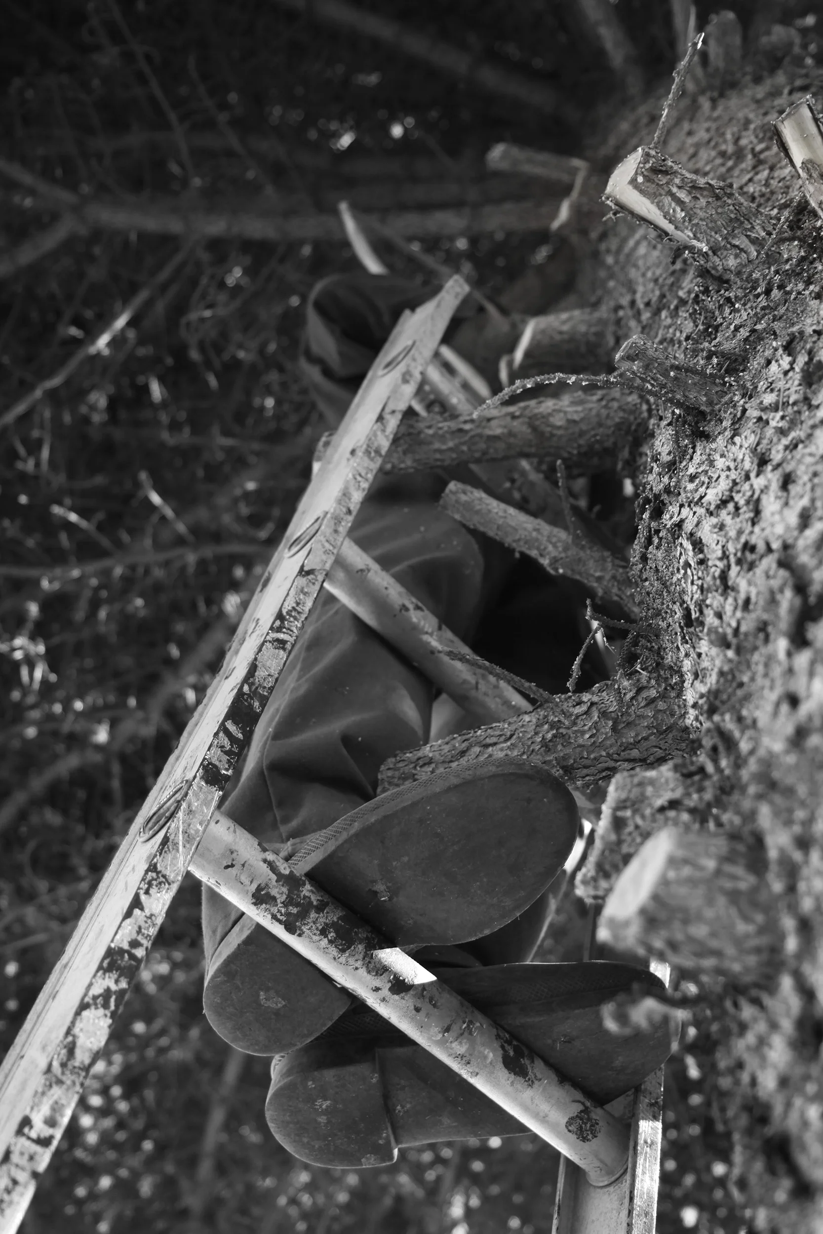 06_MG_8896bw copy.jpg