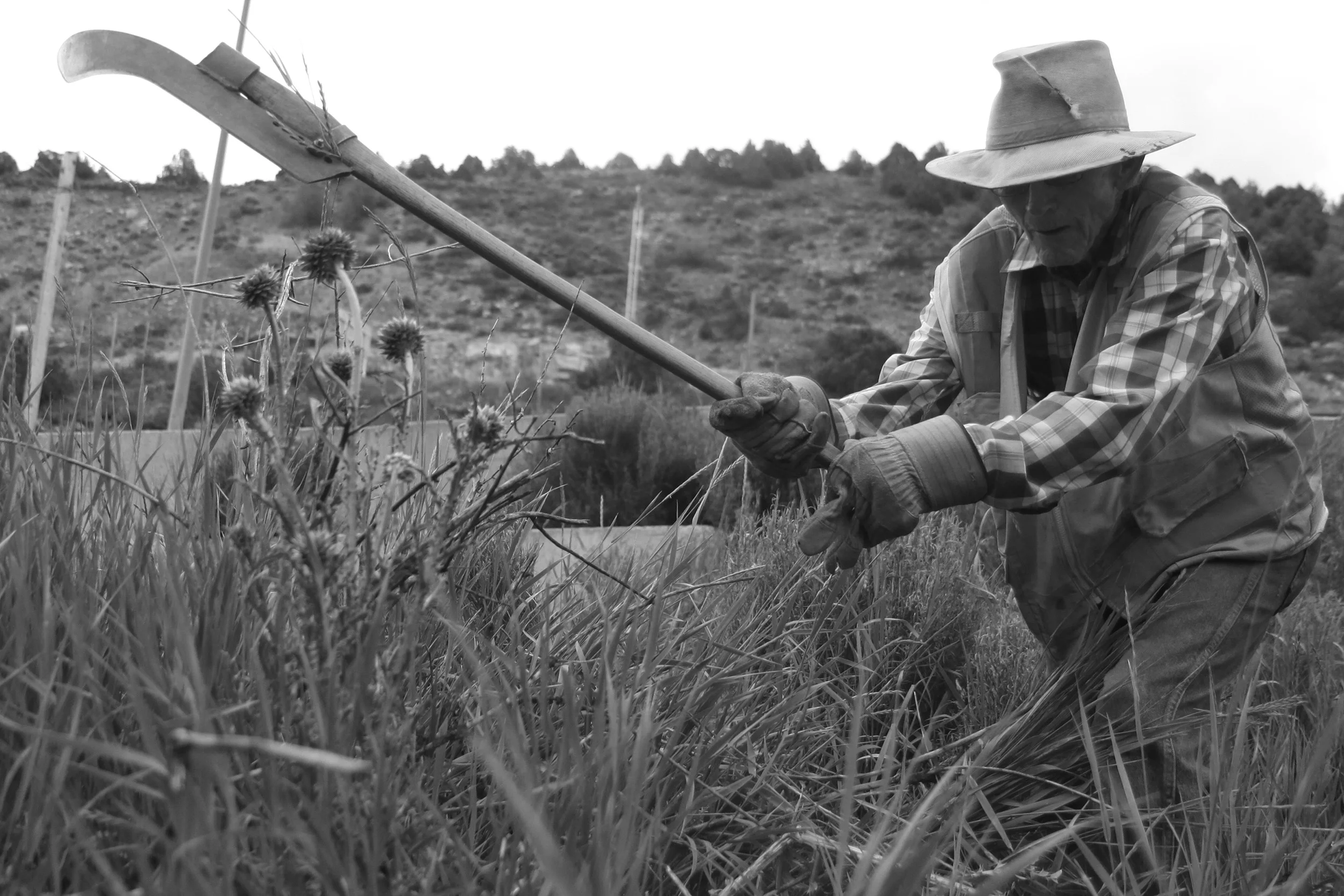 12_MG_9608cropbw copy.jpg