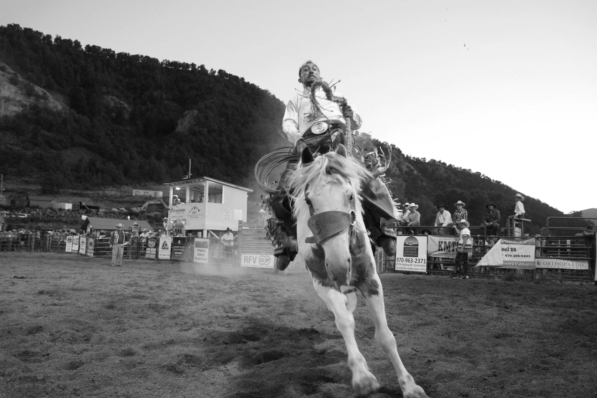 07_MG_9204 (1) copy.jpg