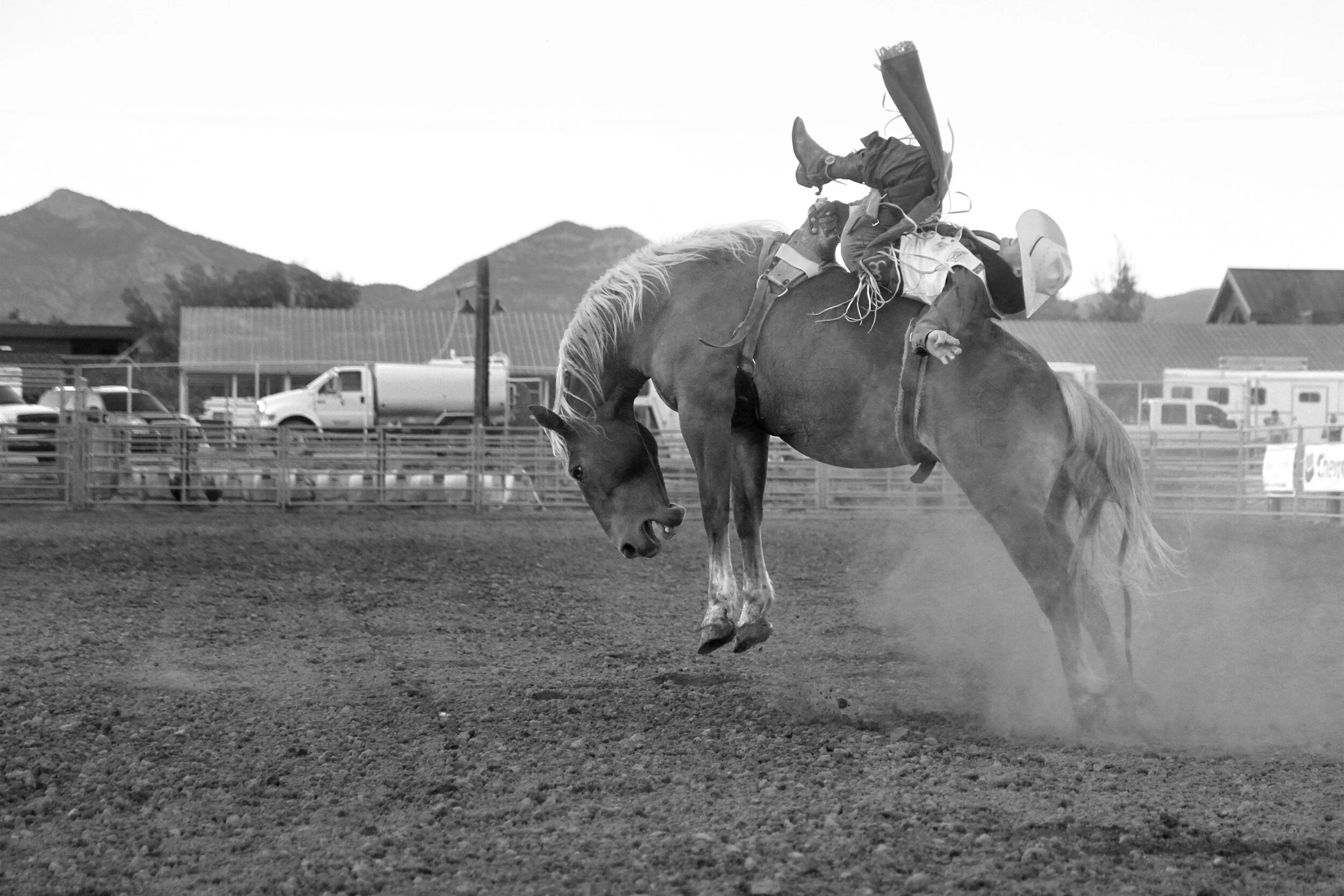 09_MG_4321_crop copy.jpg