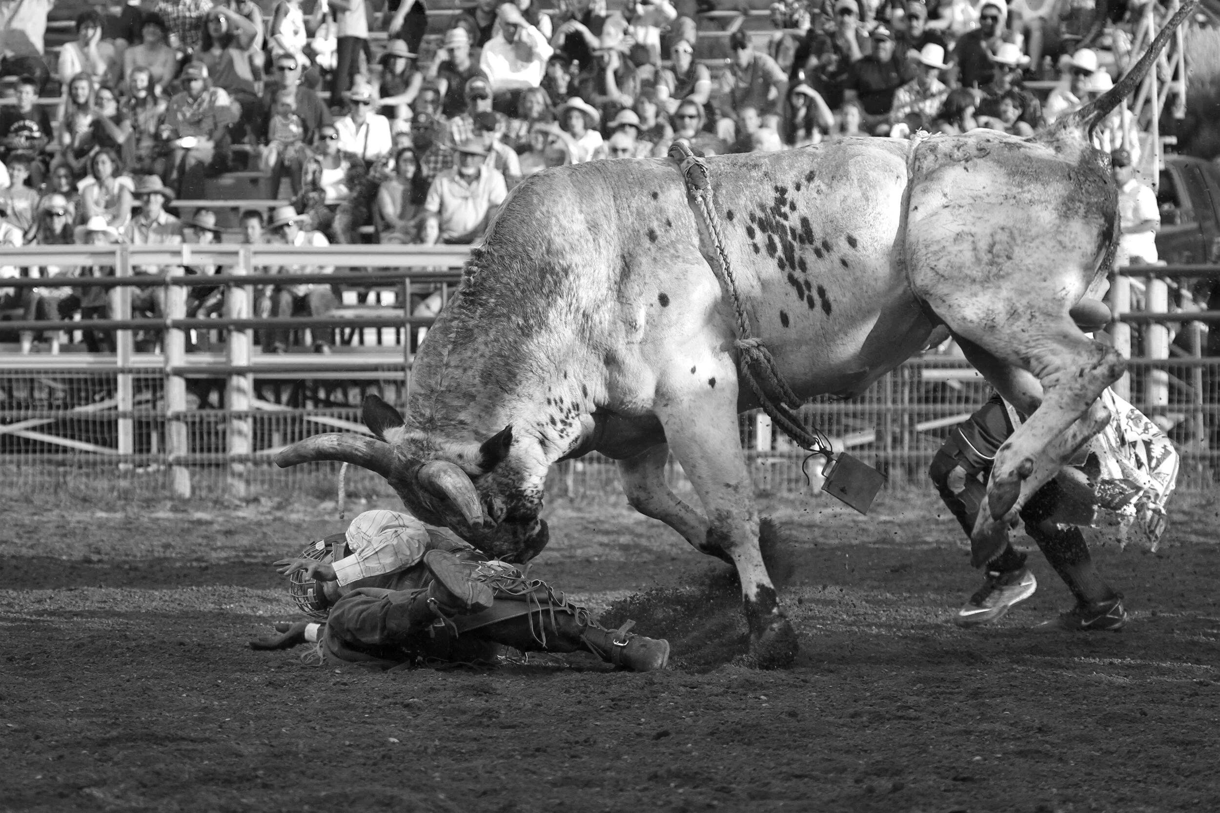 17_MG_6720_crop copy.jpg