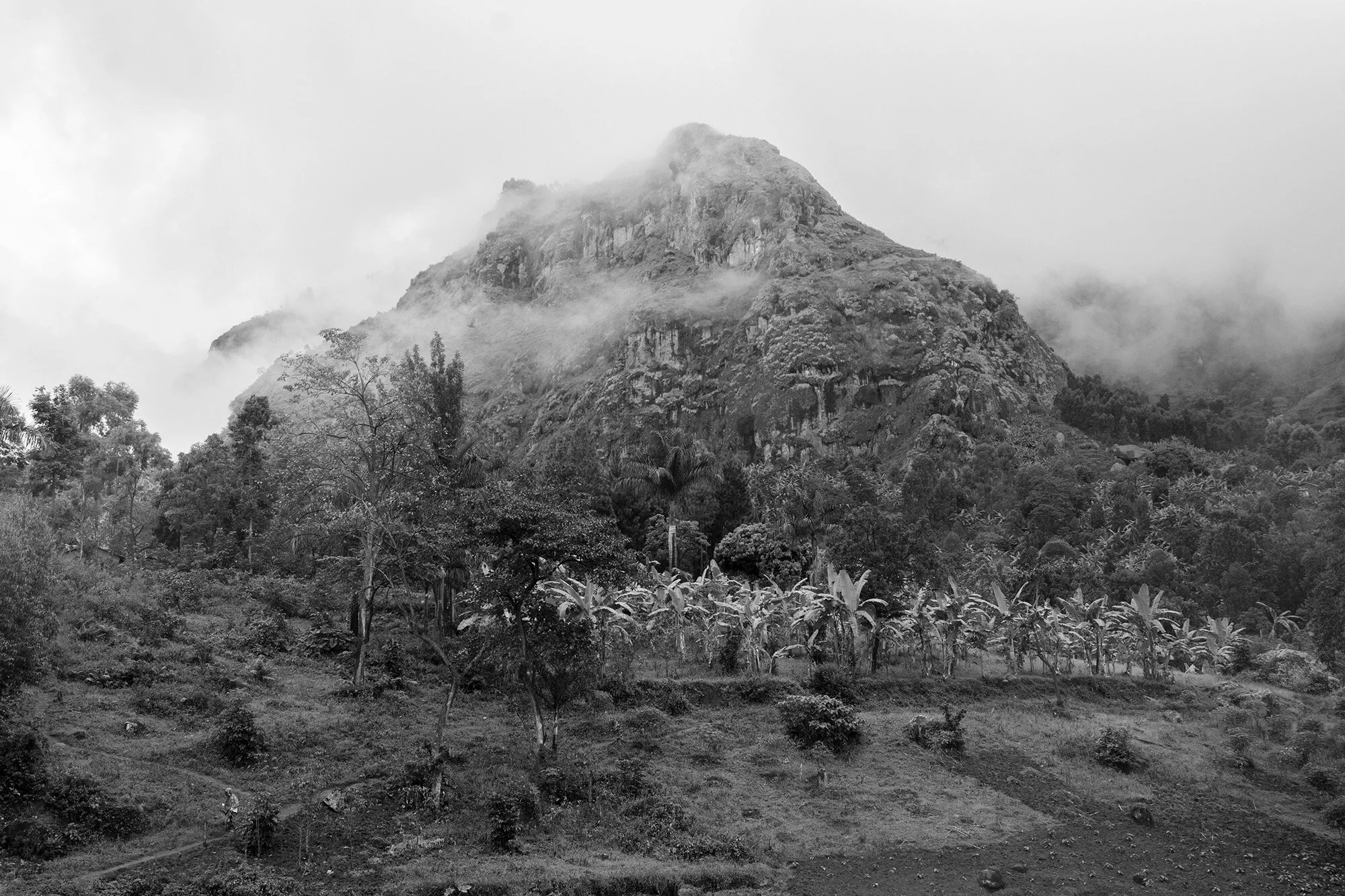 13_D2A8672_II copy.jpg