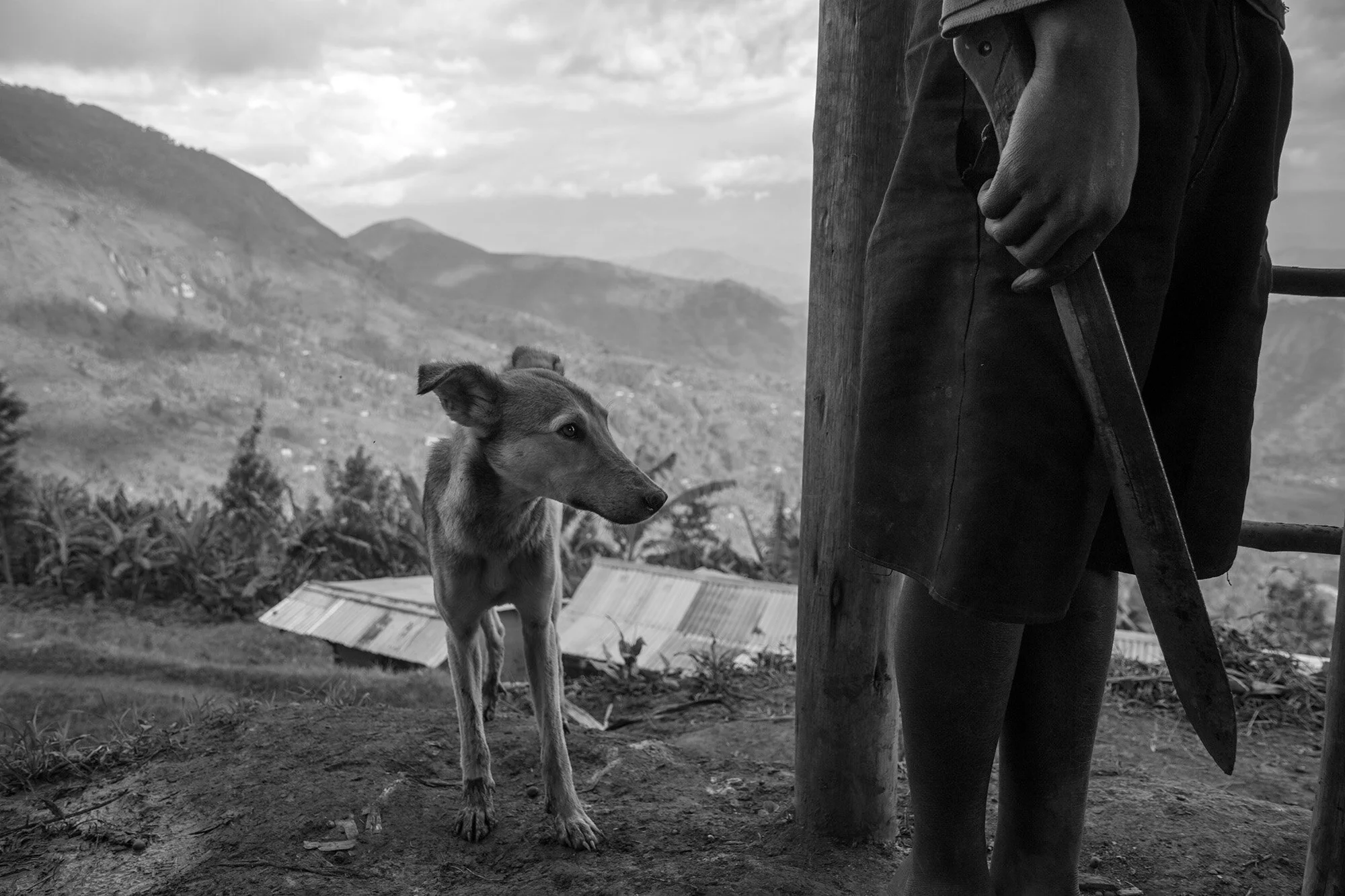 16_D2A1043_BW copy.jpg