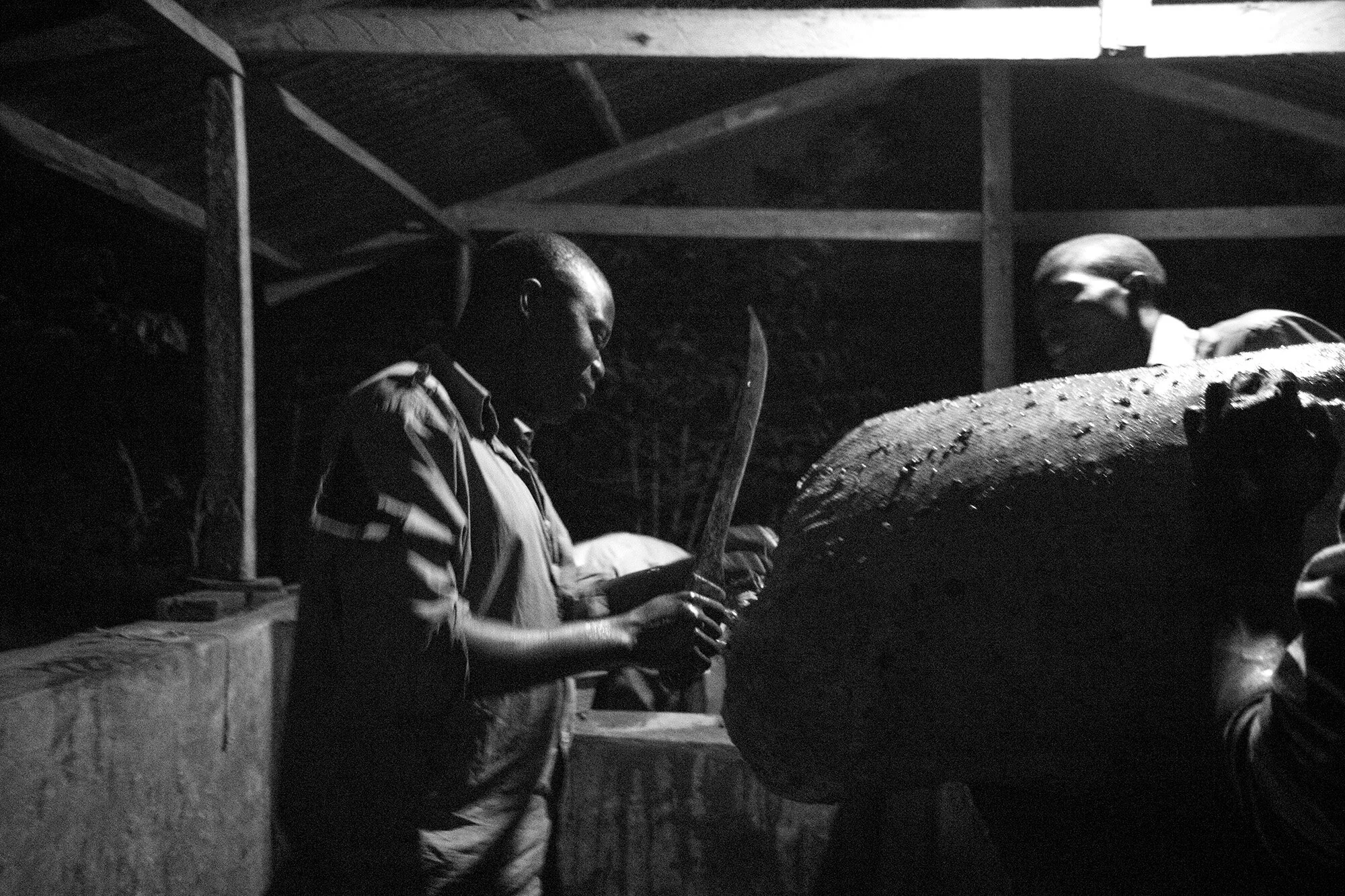 26_D2A7897_bw copy.jpg