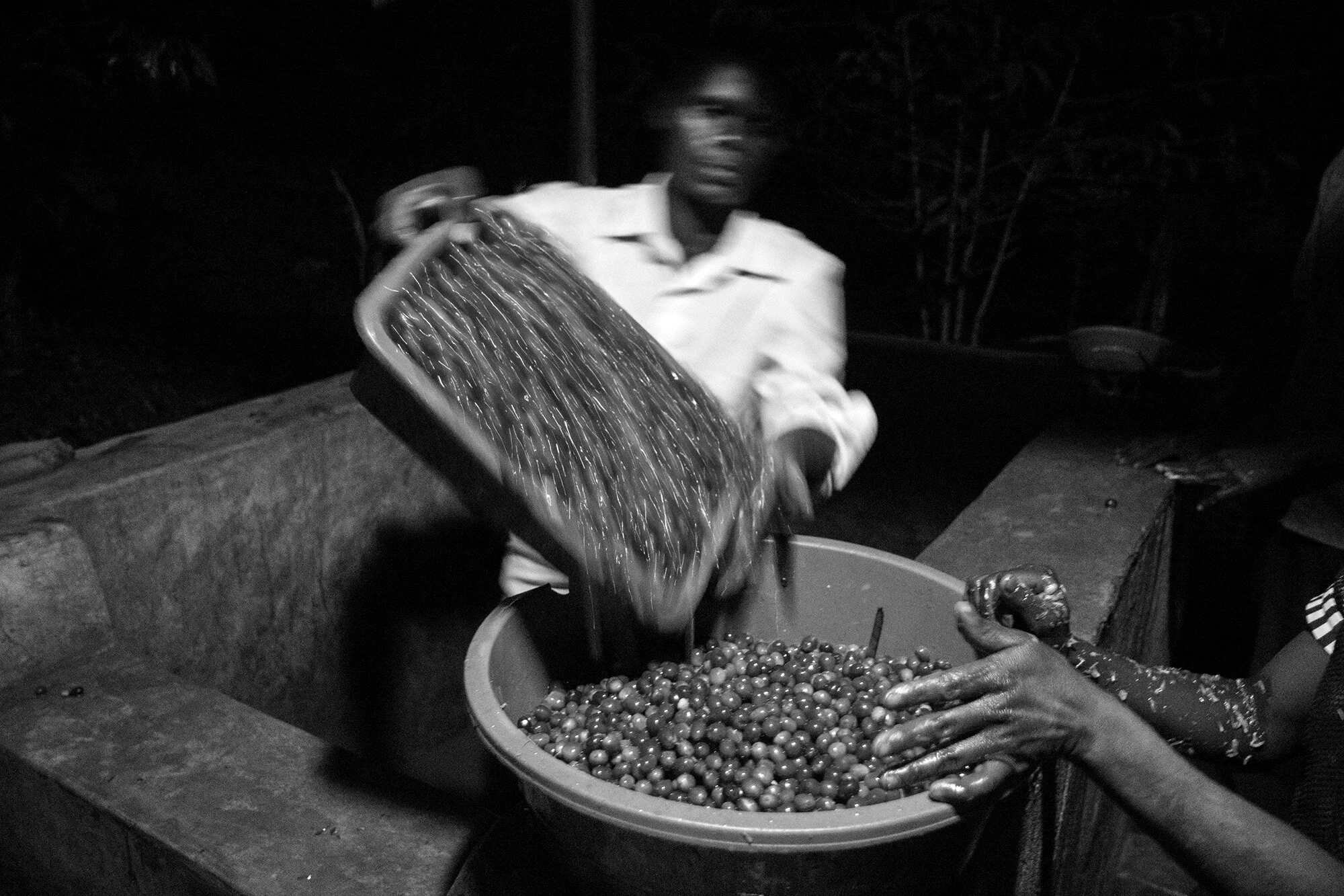 27_D2A7974_bw copy.jpg