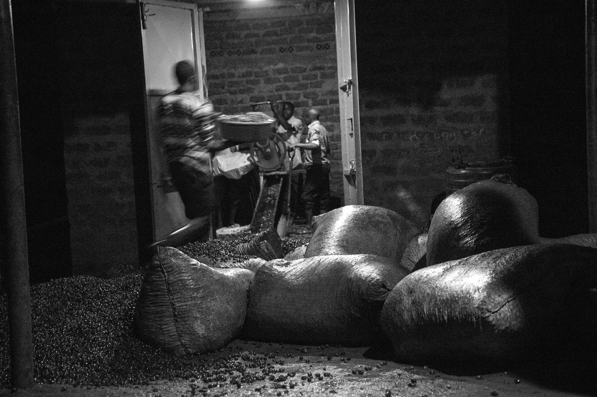 28_D2A7753_bw copy.jpg