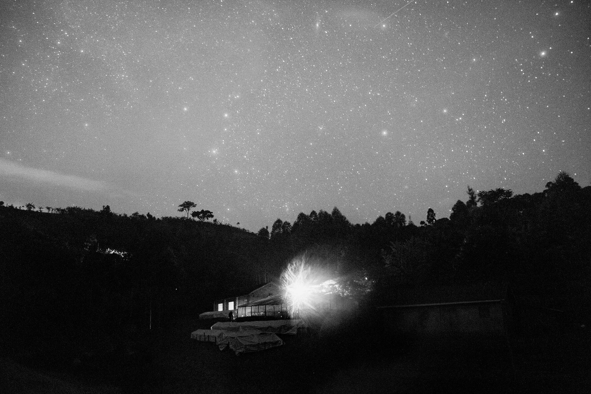 30_D2A0515_II copy.jpg