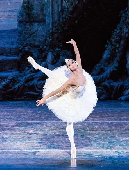 Misty Copeland of the ABT. We saw Hee Seo perform last night.