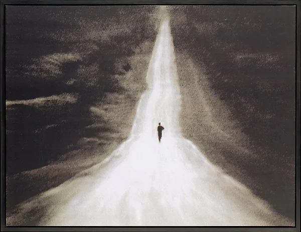 Michal Rovner, Border #8