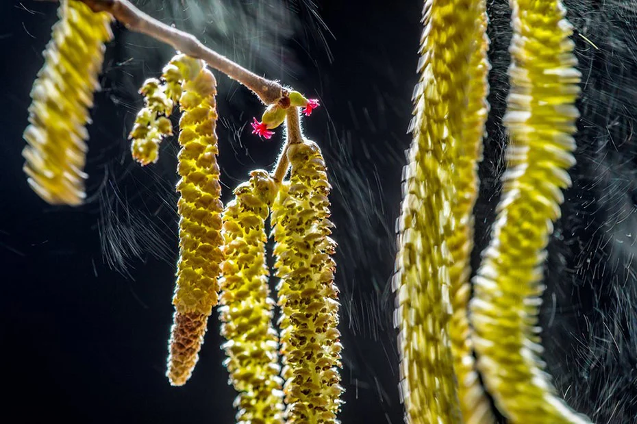 5-wildlife-photographer-of-the-year-winners.jpg
