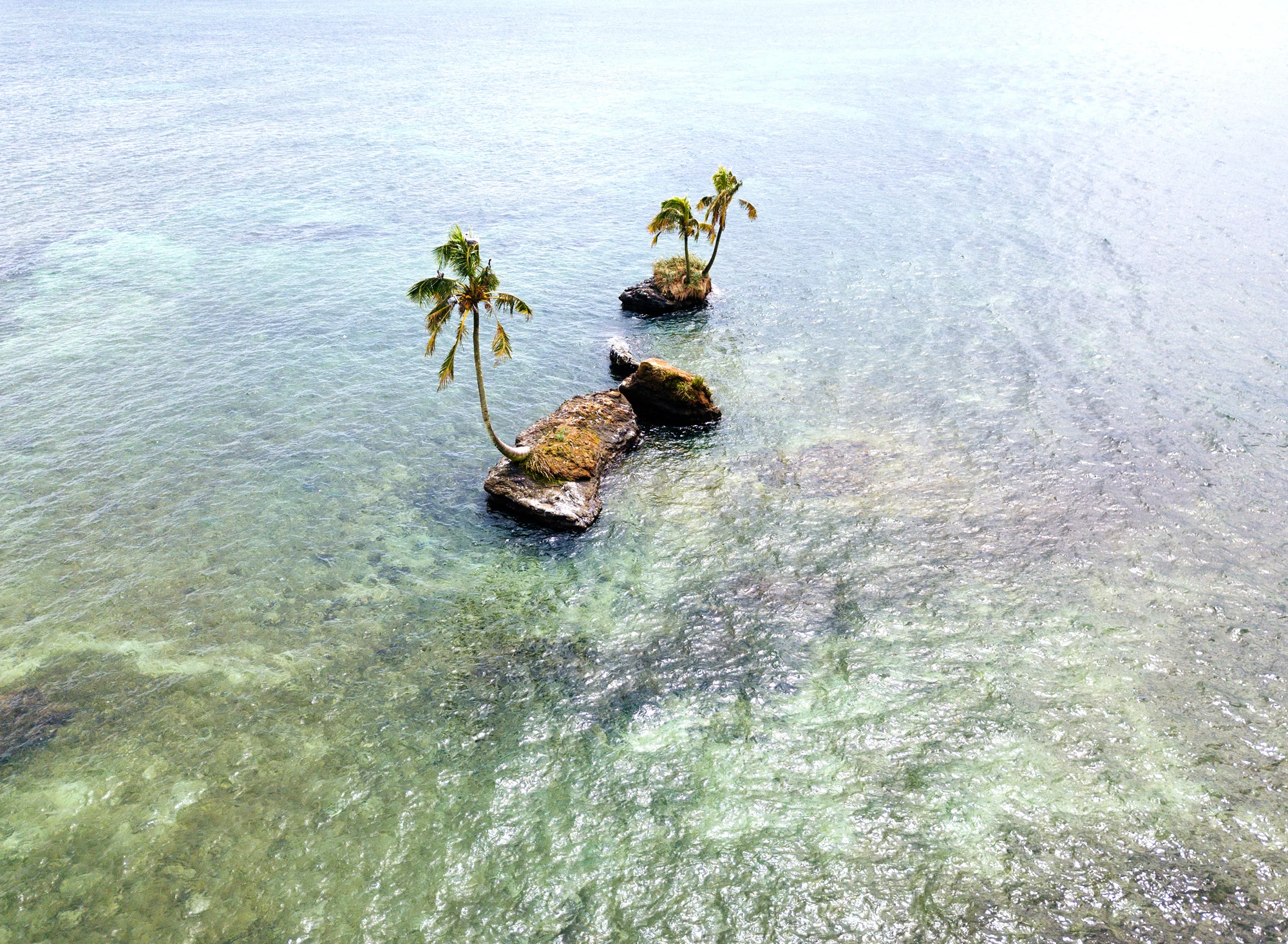DJI_0107.jpg