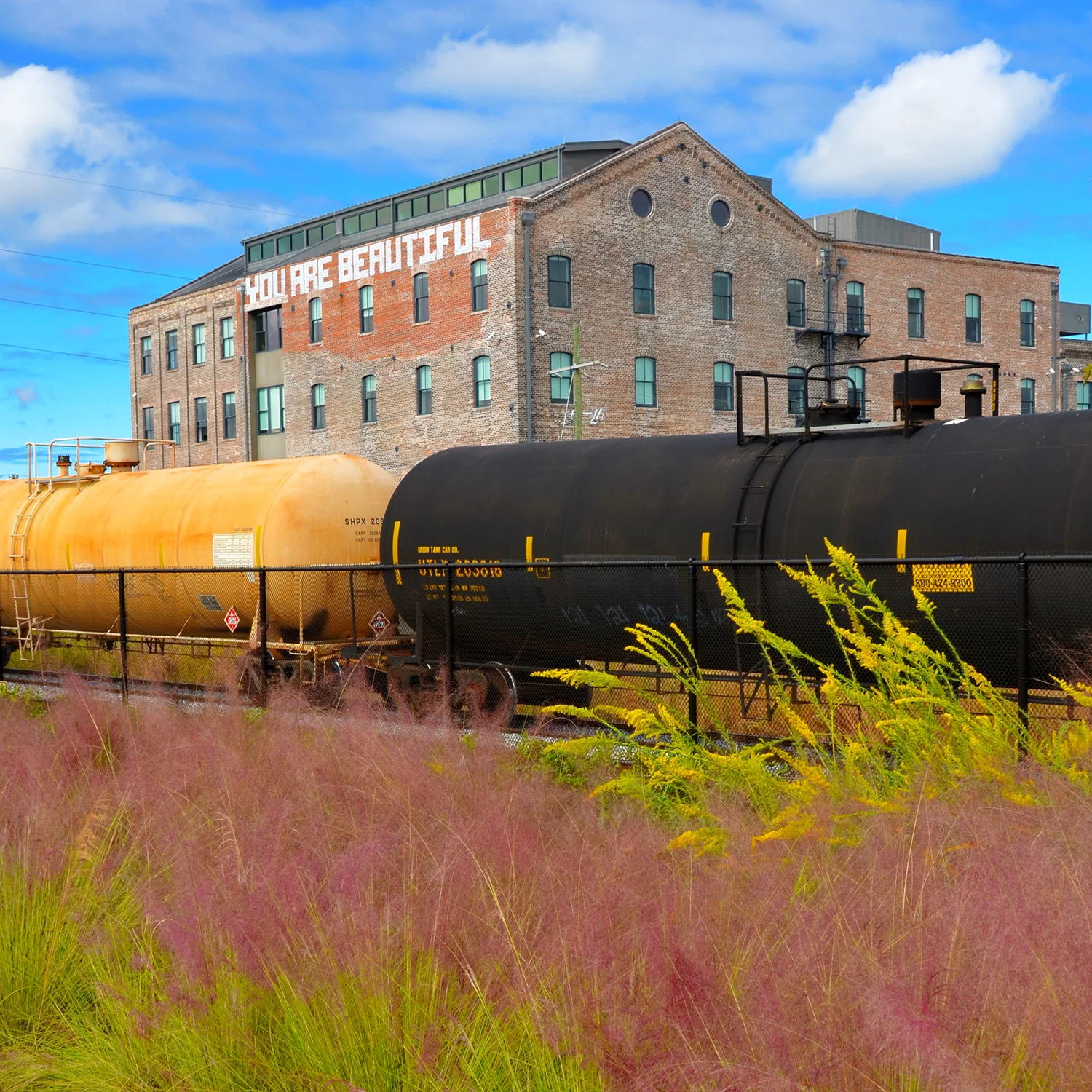 NIK_9698.jpg