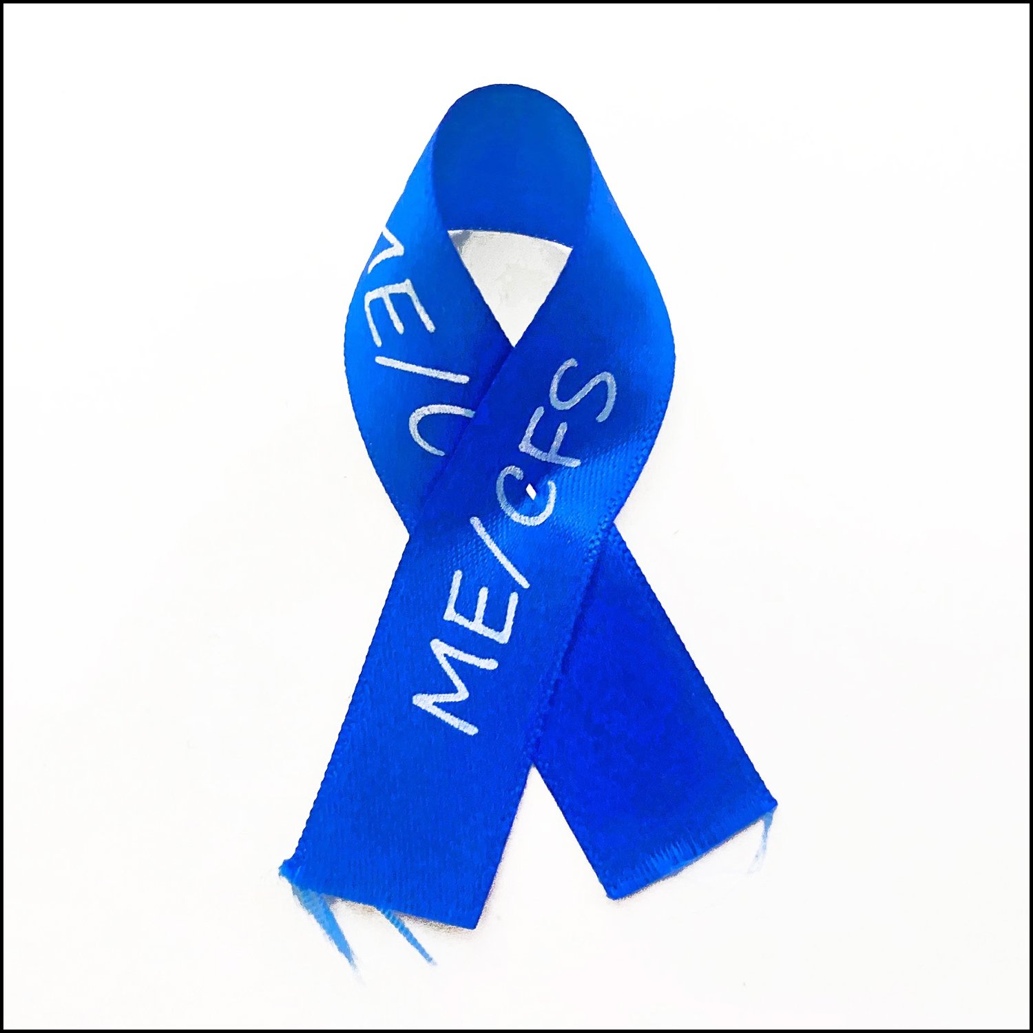 IMG_1713 cop___y.jpg