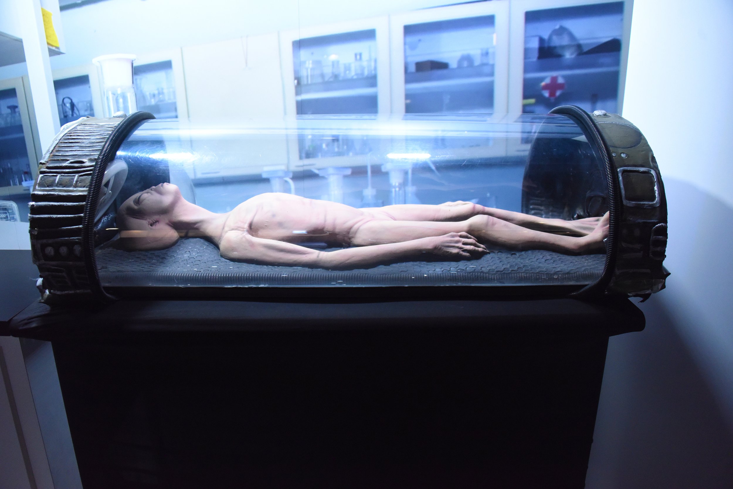 IMG_3800___DSC_7683_k.jpg