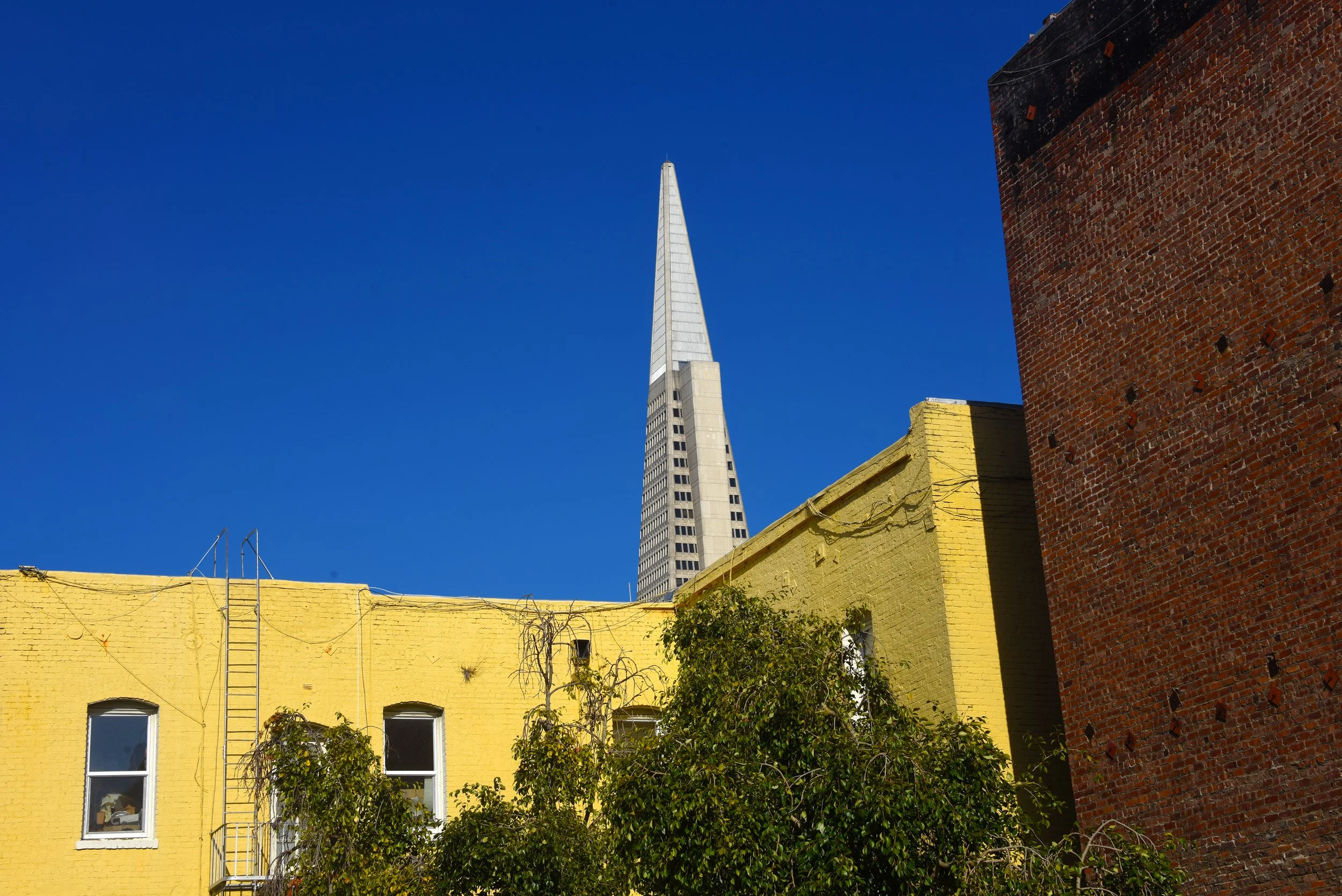 IMG_6320___DSC_8977.jpg