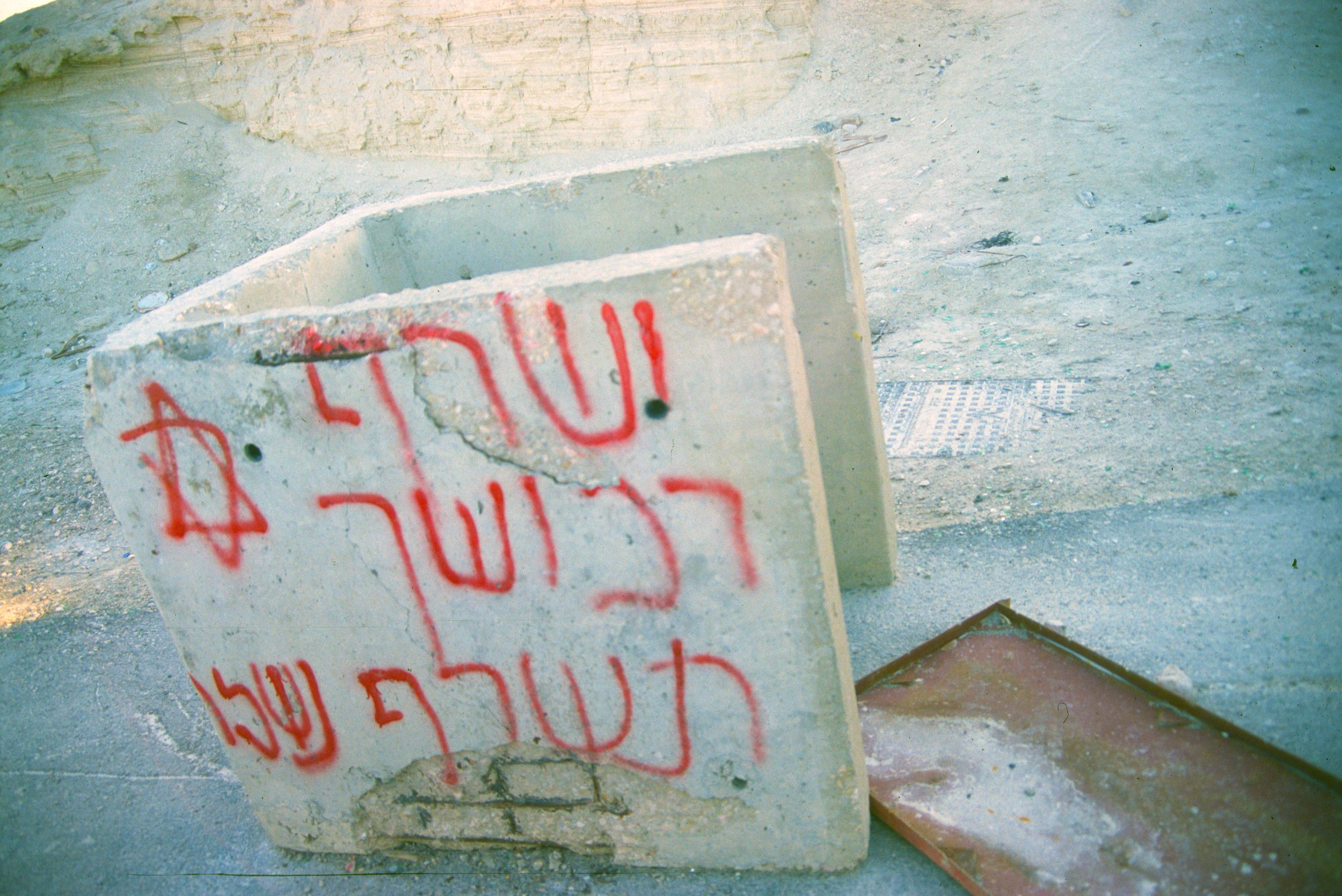 il_pal___STONE___06.jpg