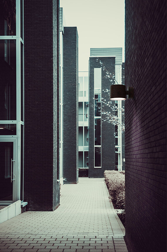 Plant-wall-12031-project-corten.jpg