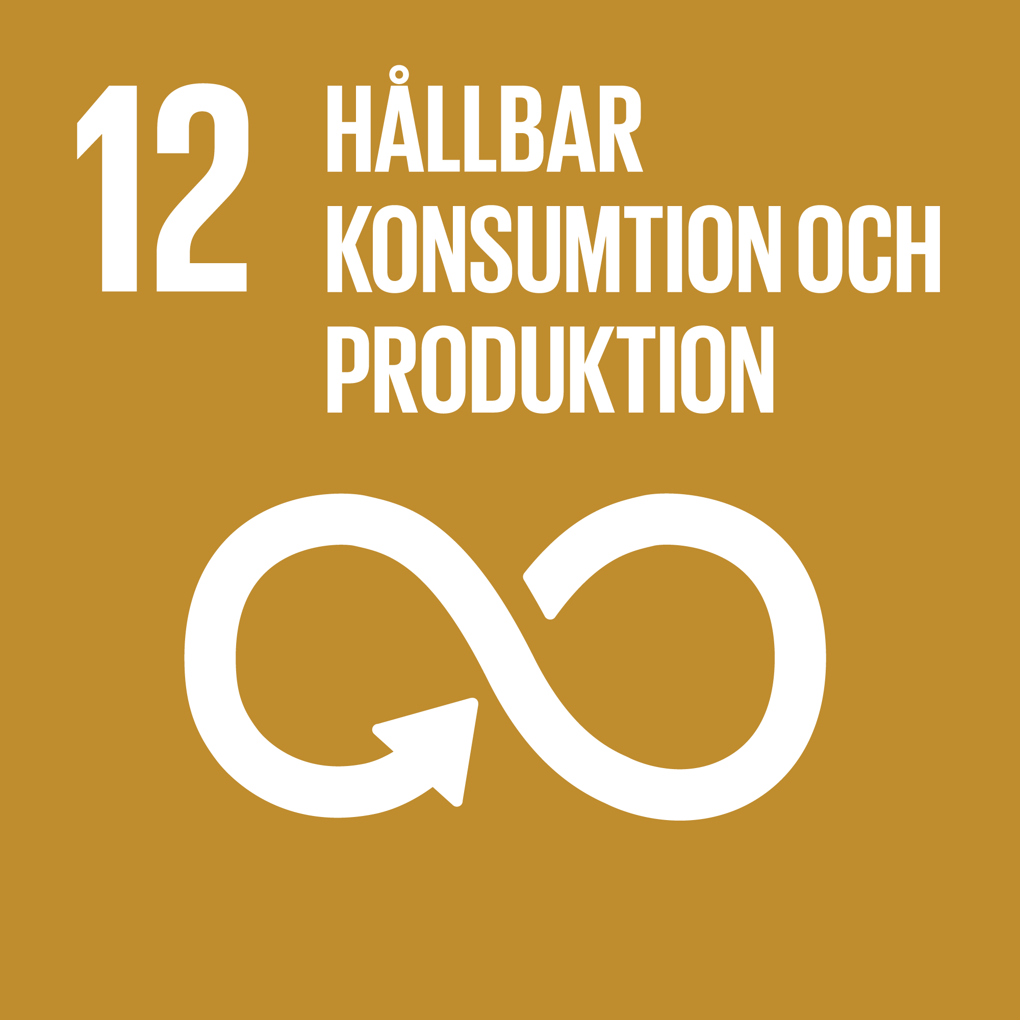 12-hallbar-konsumtion-och-produktion-logo.png