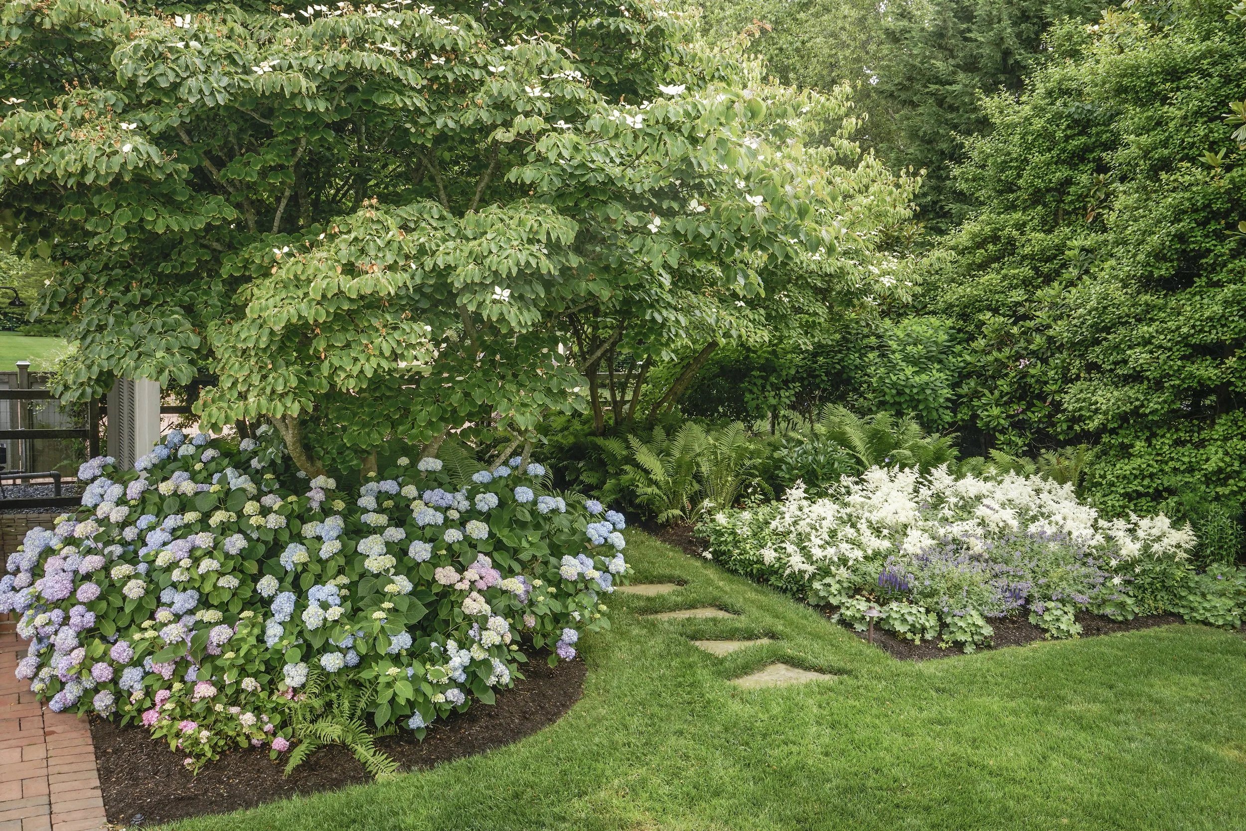 Hydrangea with Dogwood.jpg
