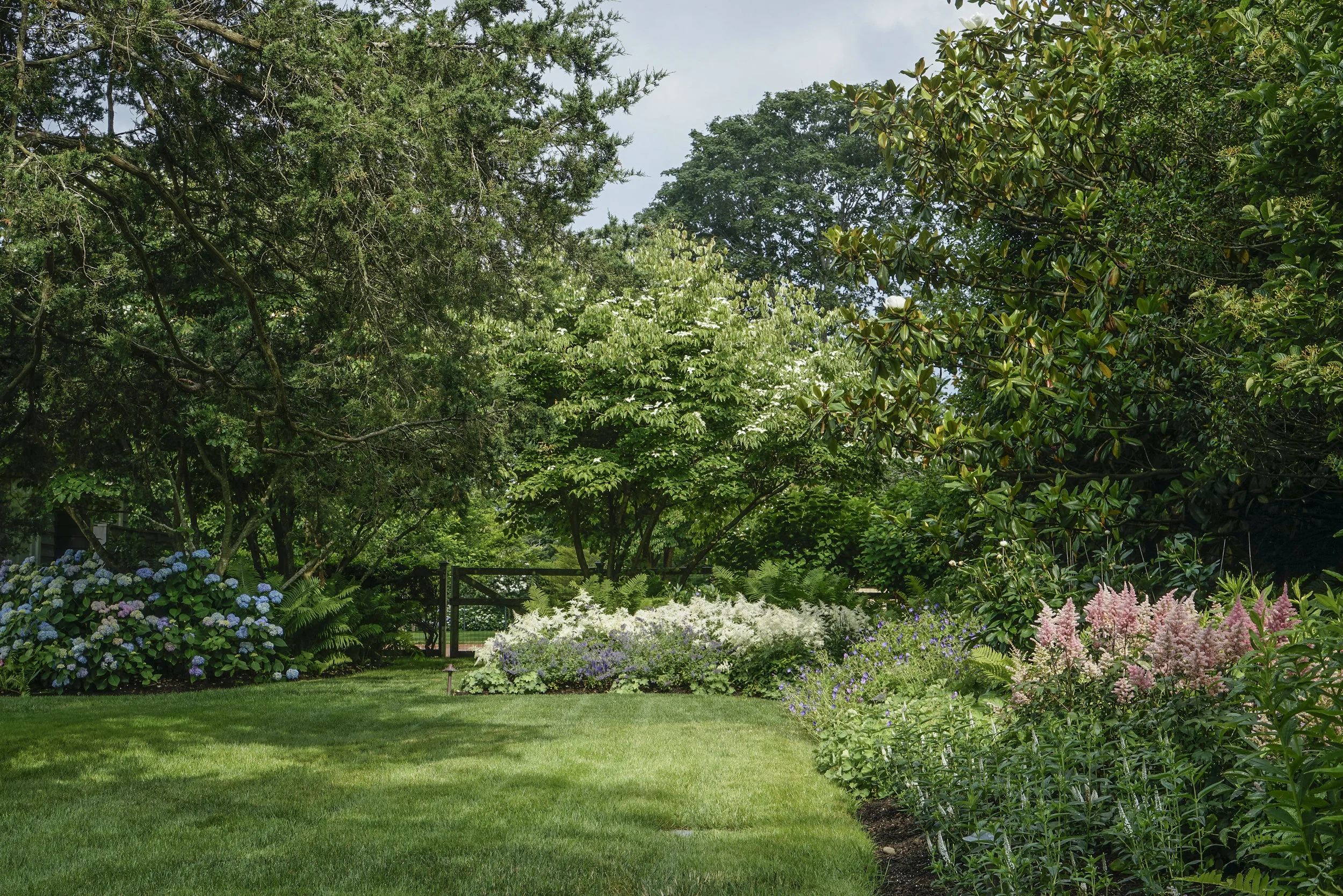 Astilbe Beds.jpg