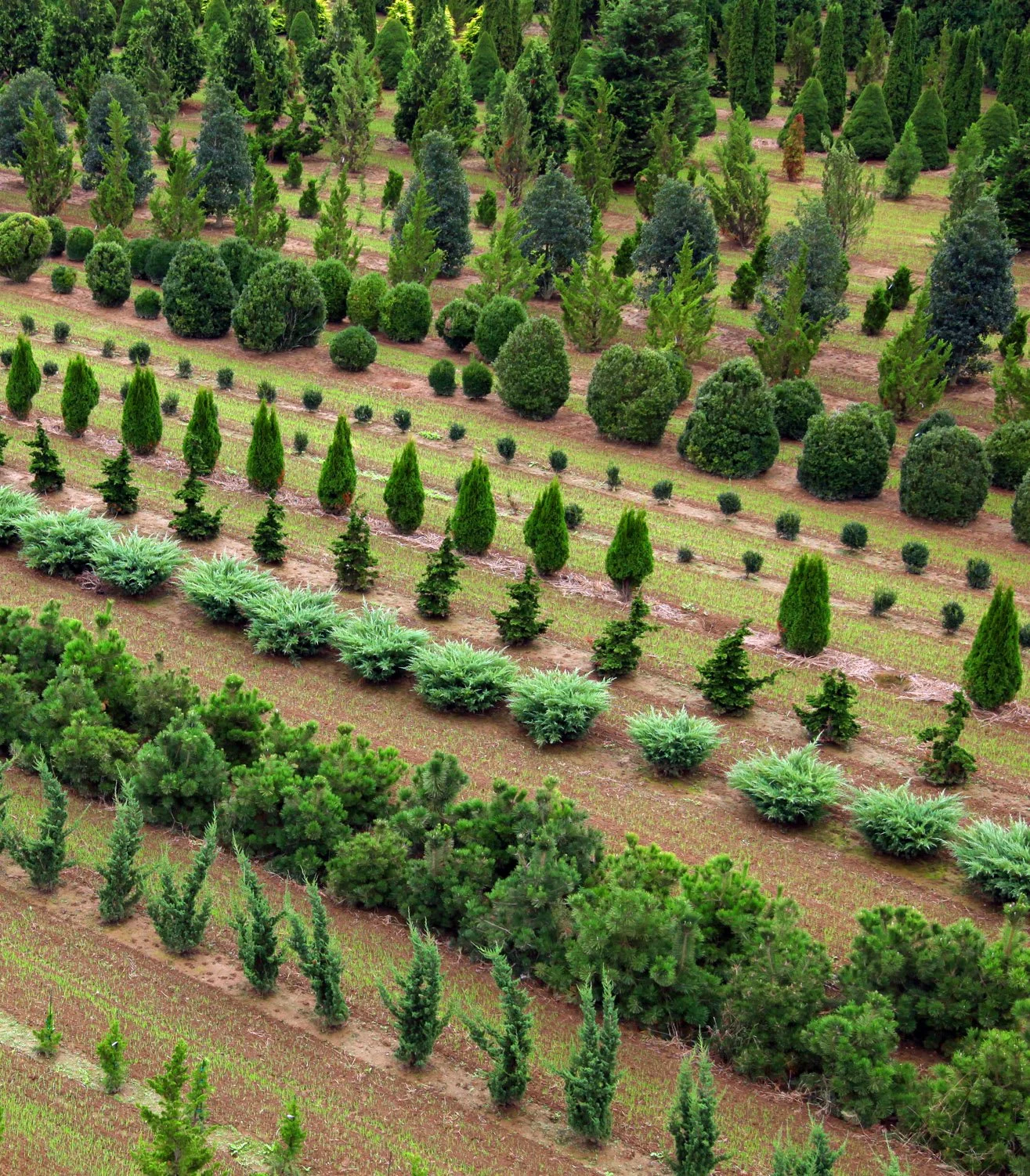 whitmores oct 19 copy.jpg