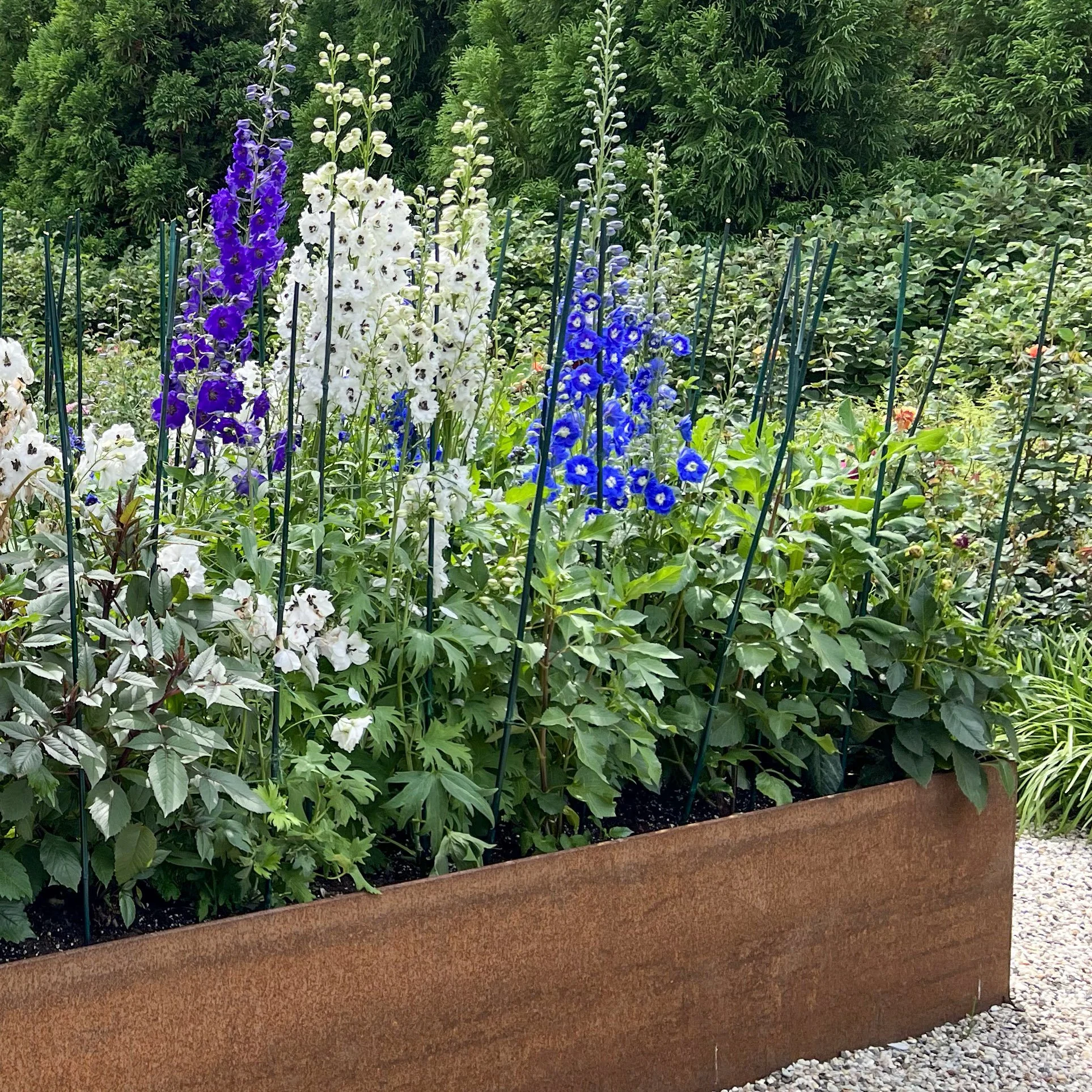 74AFD5F0-C09C-482E-B477-993047528B95 copy.jpg