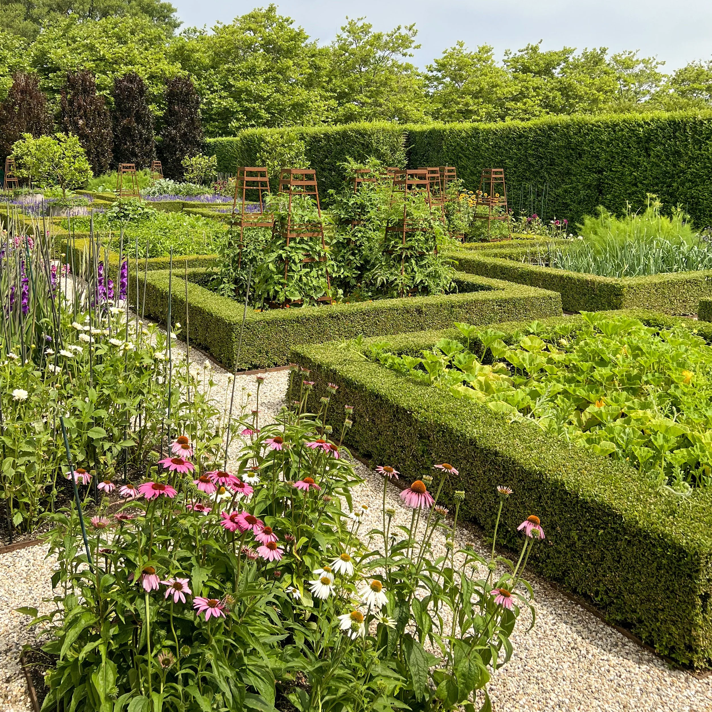 EDB1FBAD-F8E8-45E8-93AF-01A0BC928FF3 copy.jpg