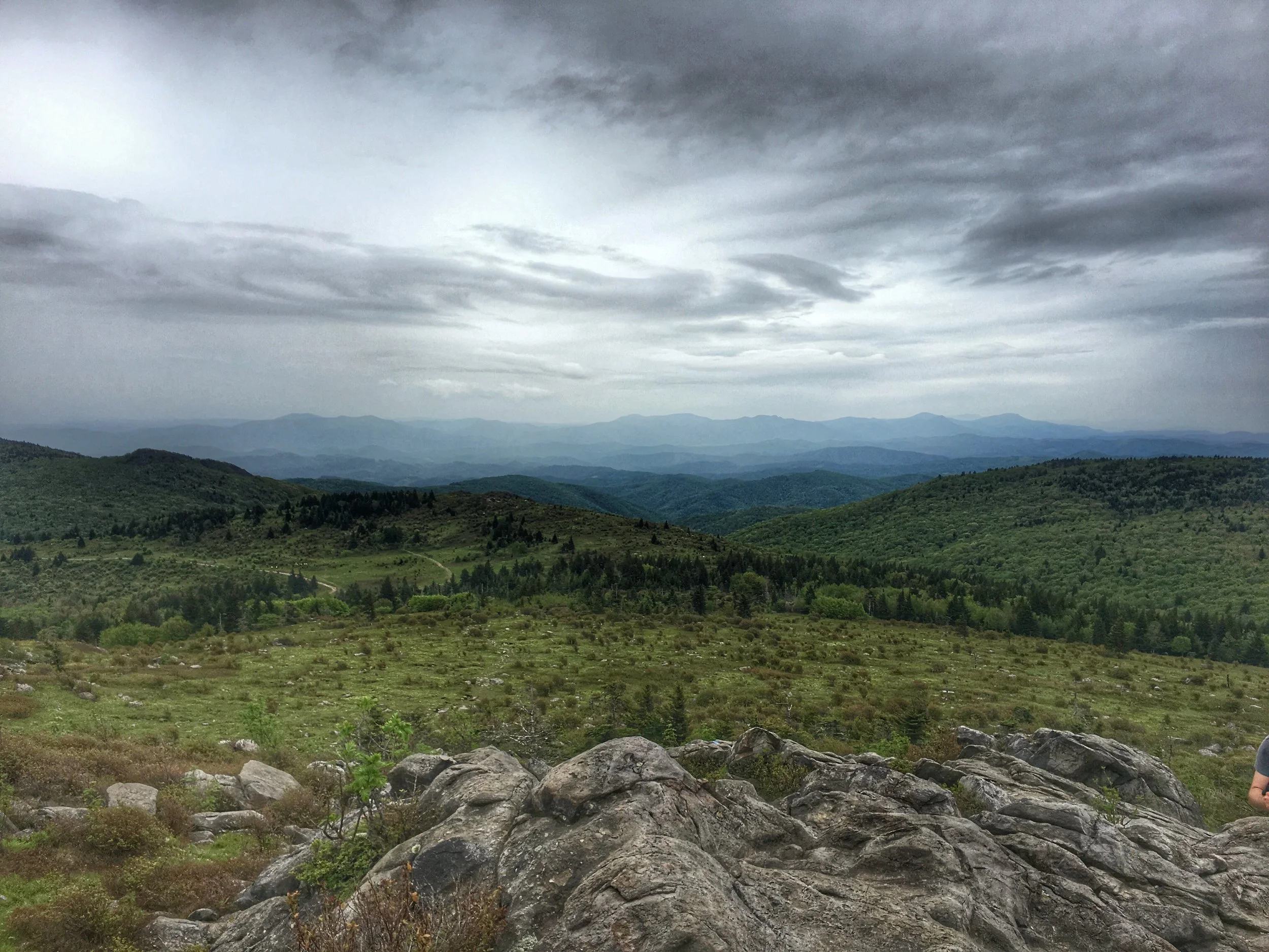 Wilburn Ridge, Virginia, 2016-05-29