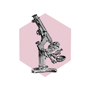 MAX_FIVE_Fs_Trans_v2.png