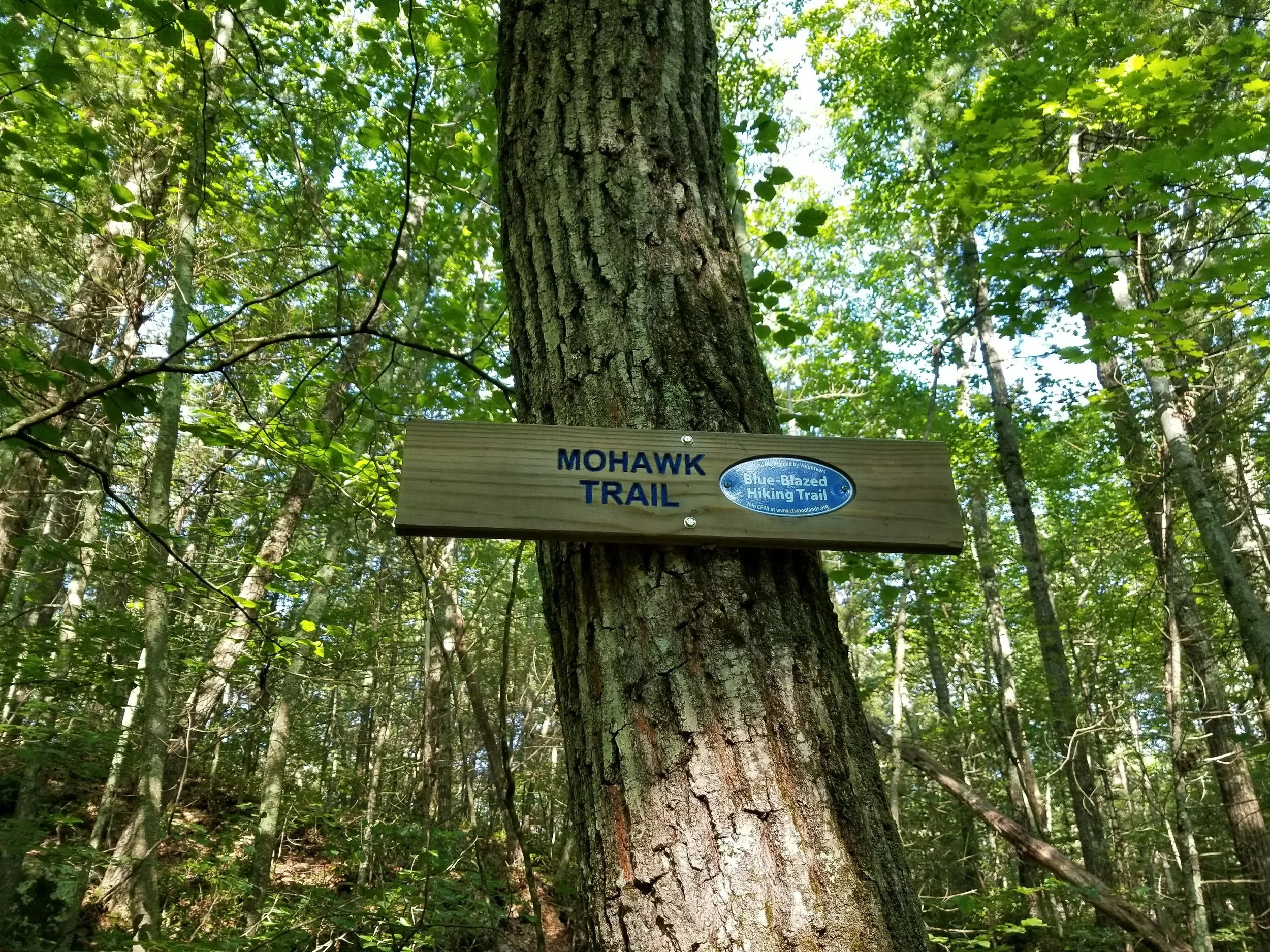 trail sign.jpg