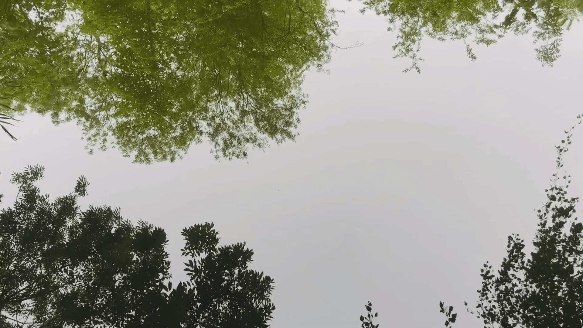 WAKE_bg_still_smaller.png