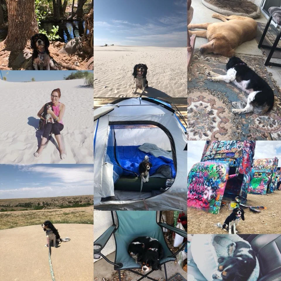 roadtrip 11.jpg