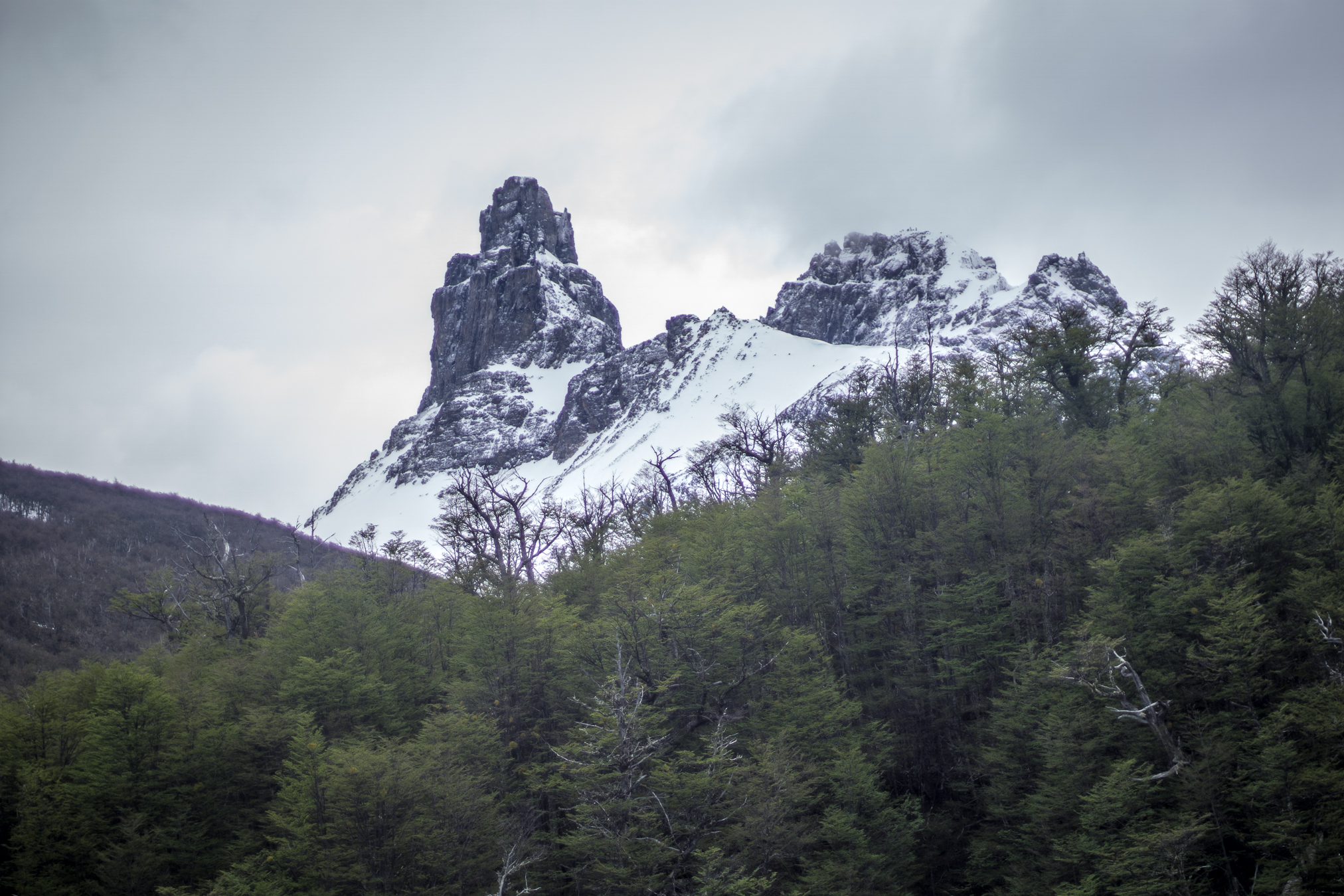 _DSC0890.jpg