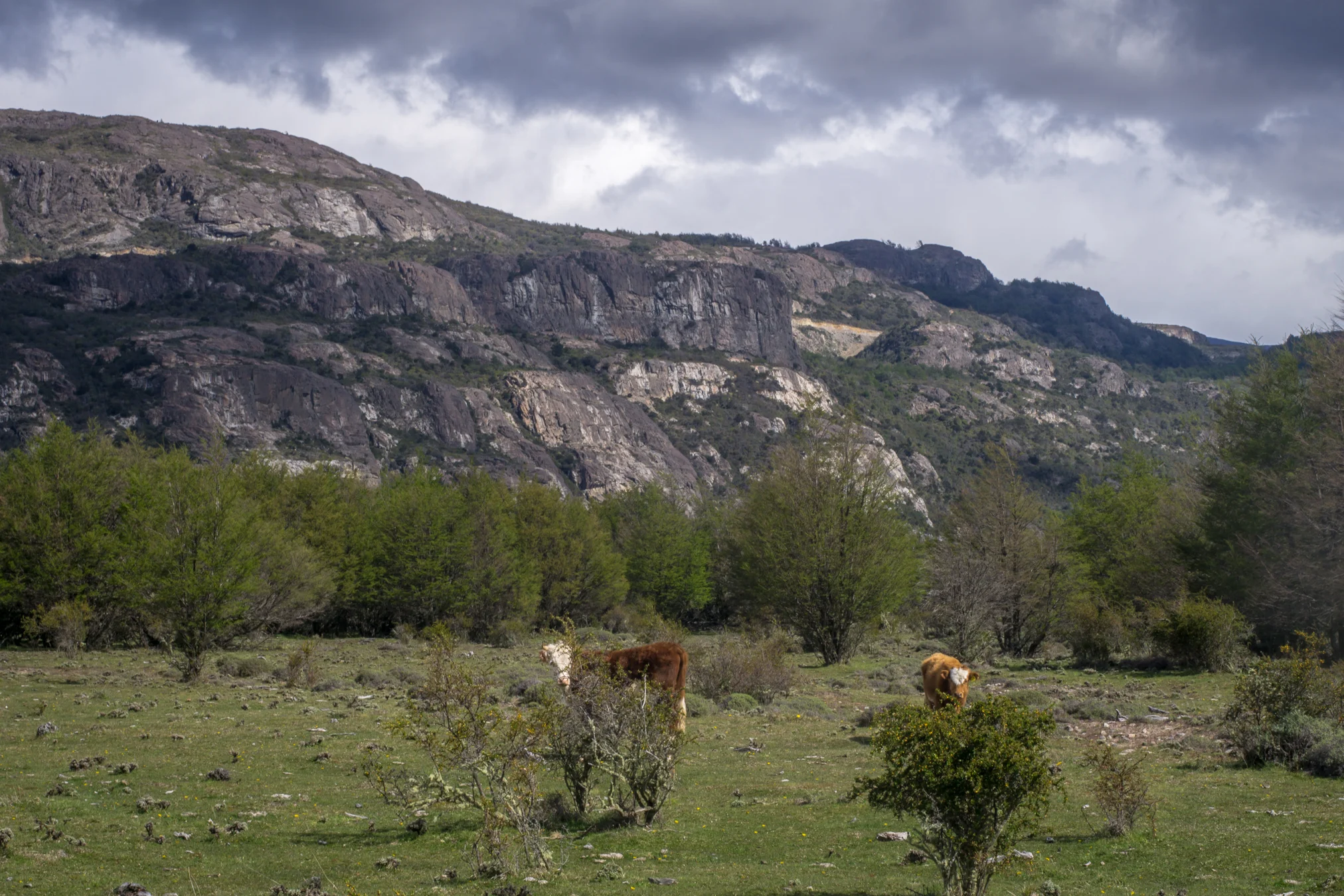 _DSC0909.jpg