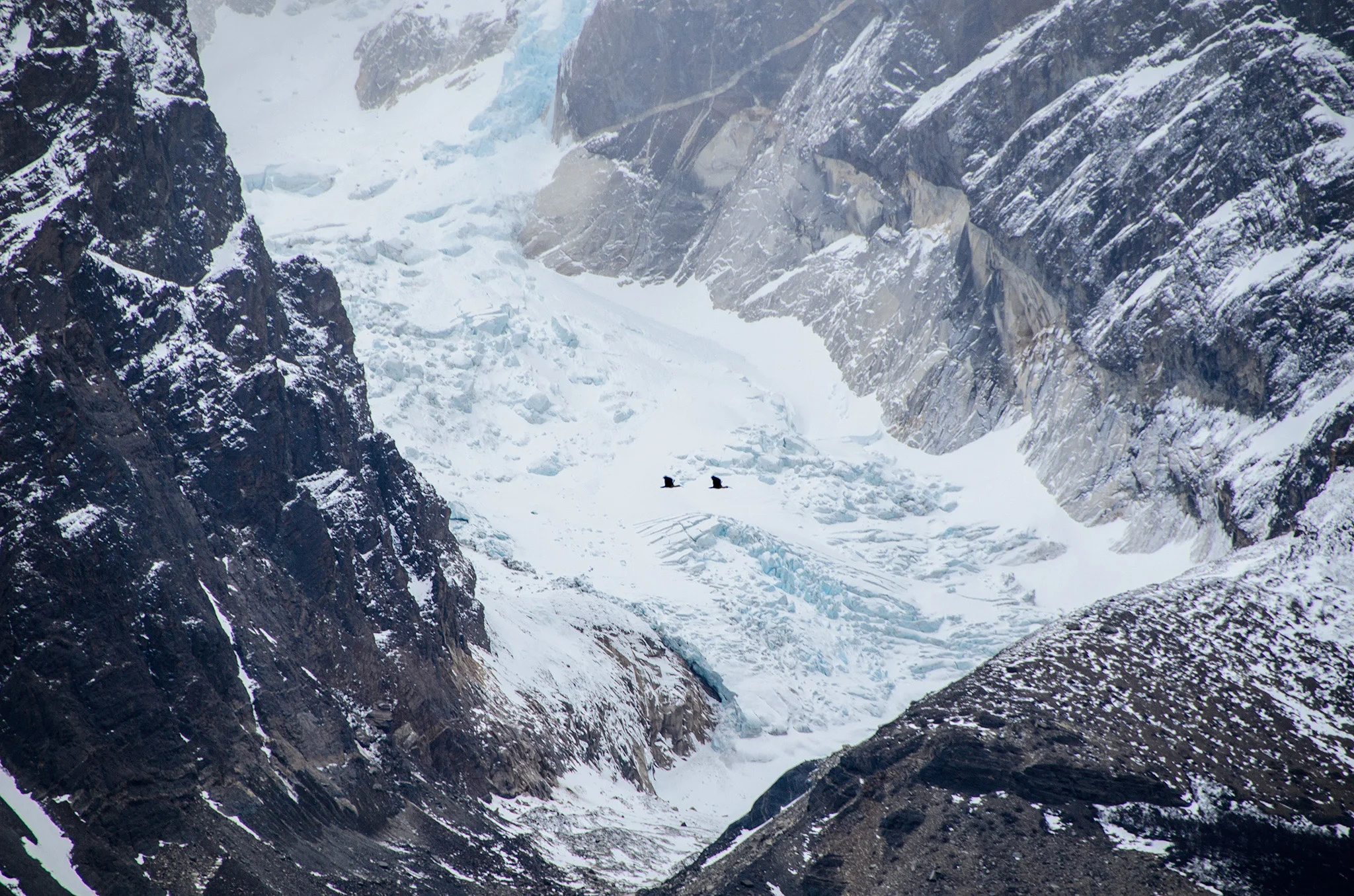 DSC_3386-Editar-b.jpg