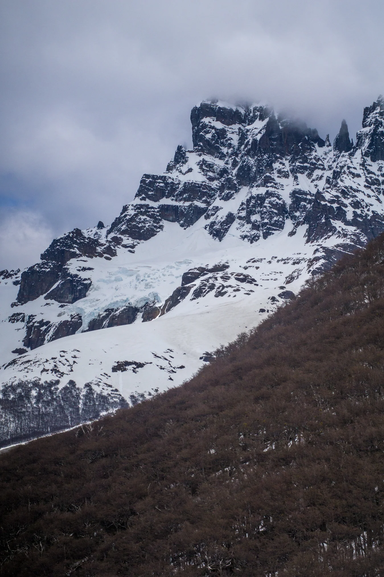 _DSC0769.jpg