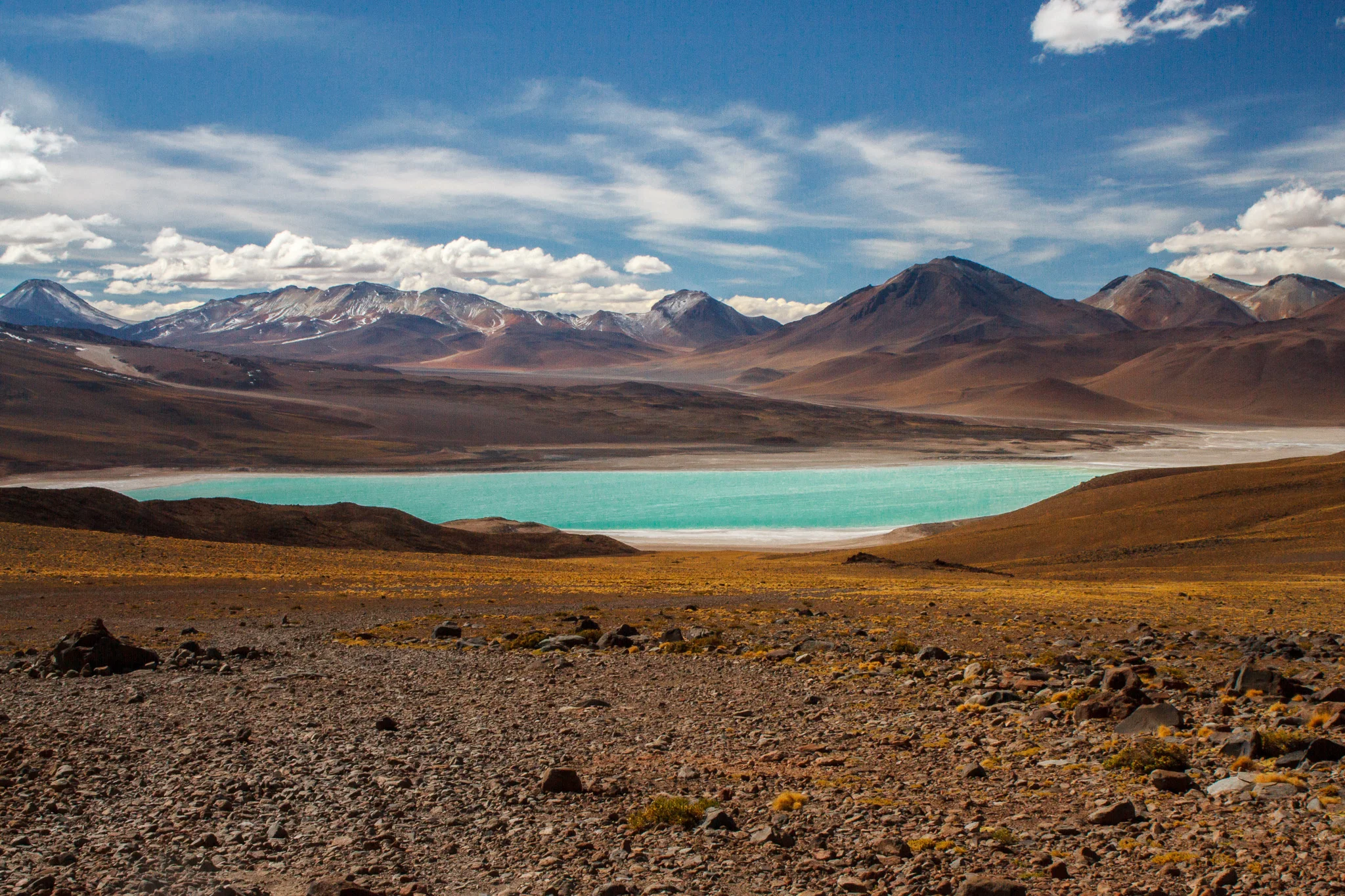 _MG_1778.jpg