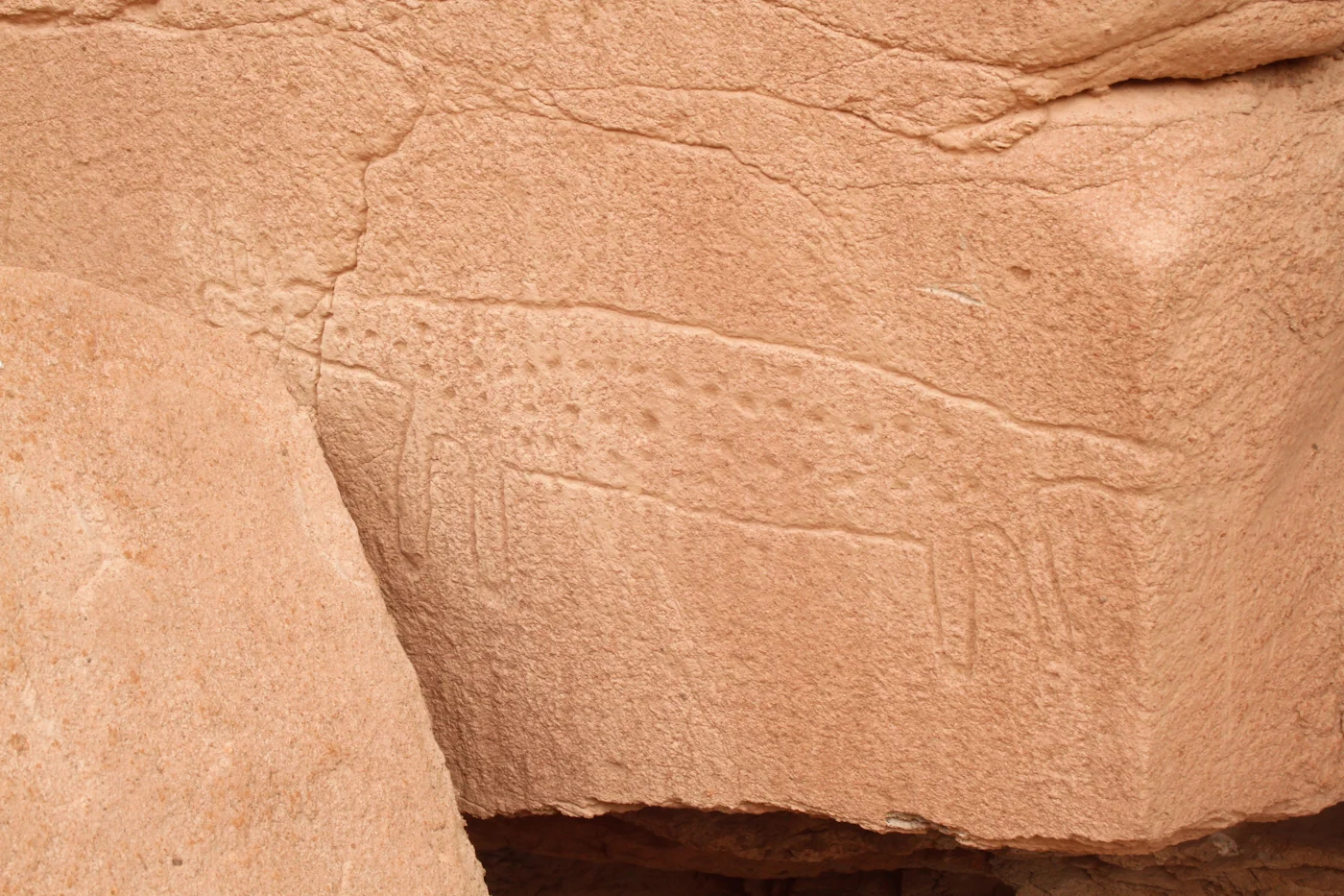 _MG_6494.jpg