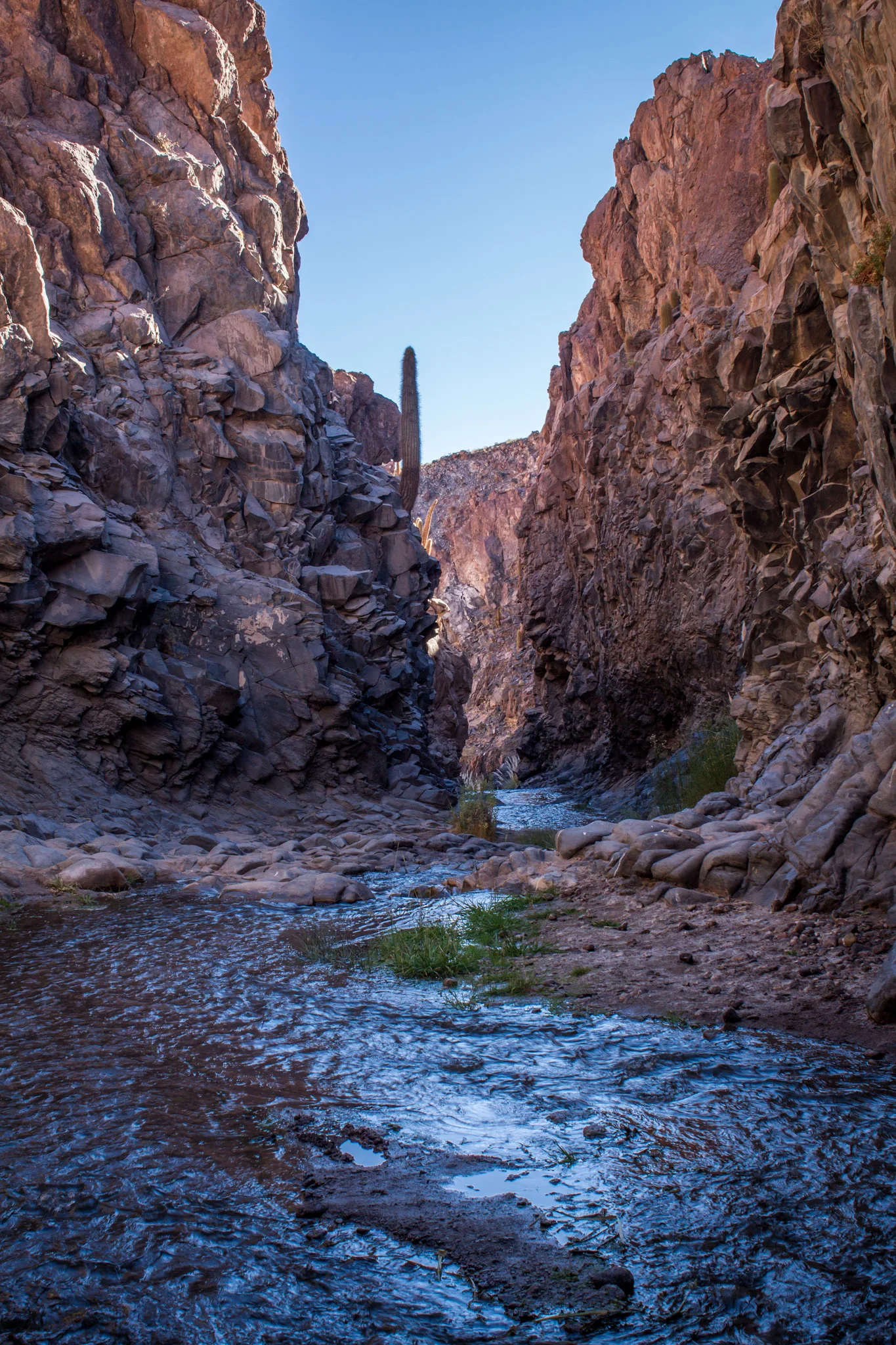 _MG_8044.jpg