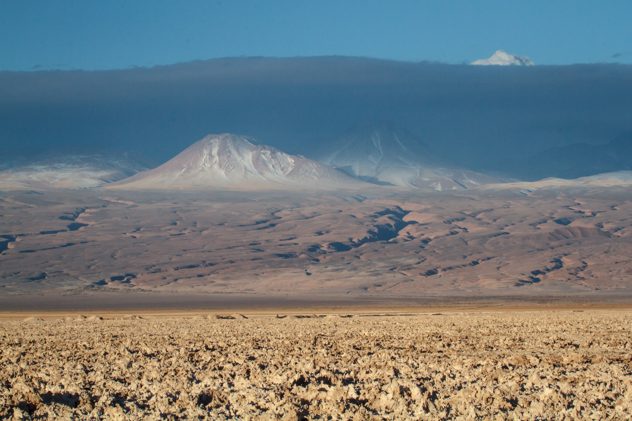 _MG_9222.jpg