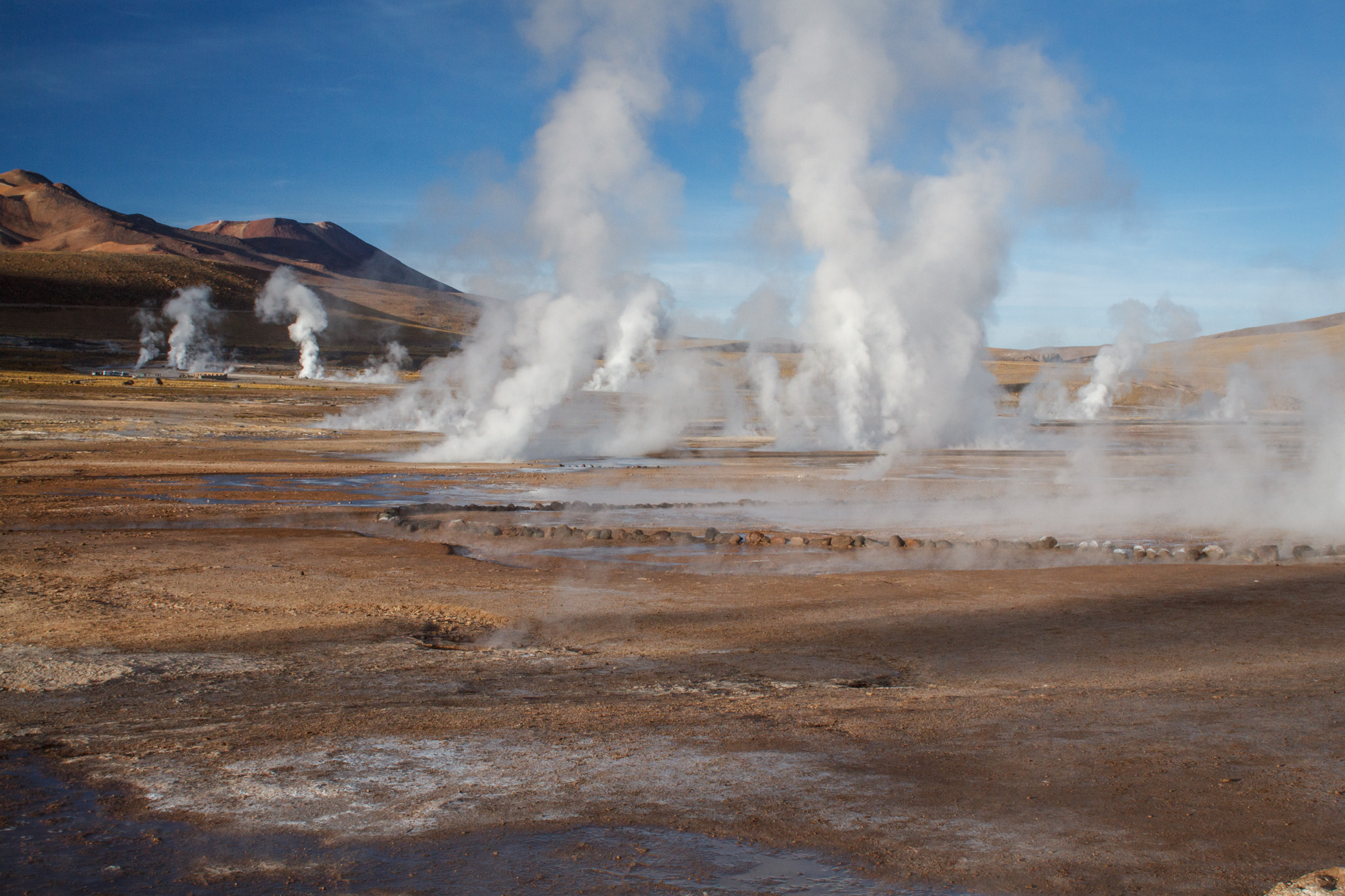 _MG_9448.jpg