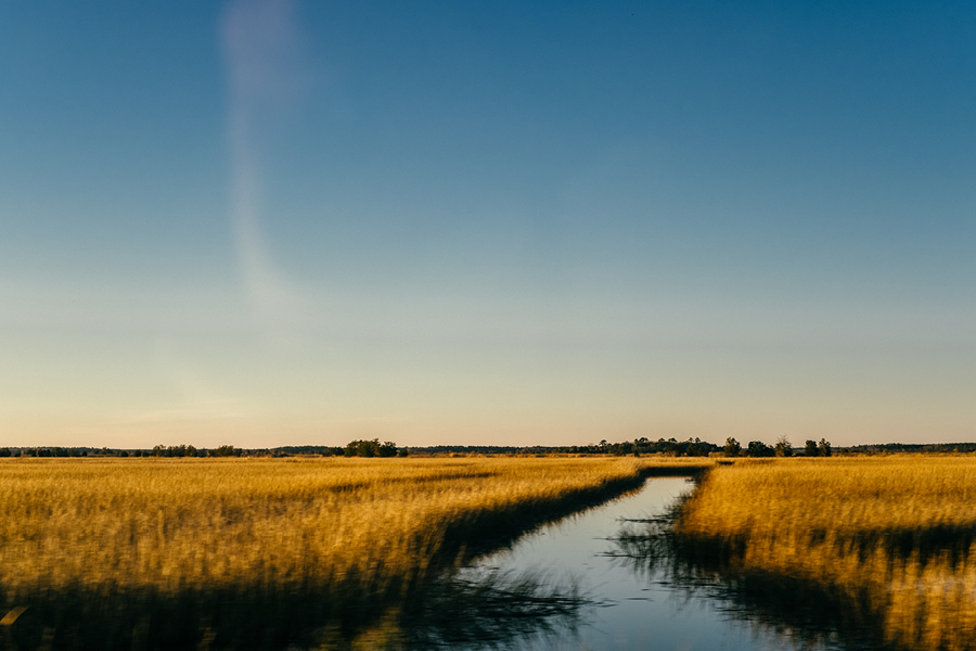 Savannah-GA-Photography56.jpg