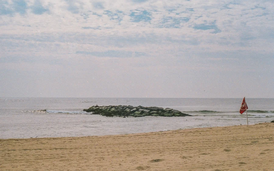 film-photography0002.jpg