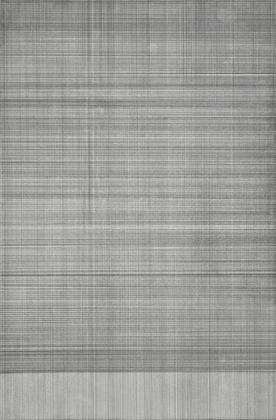  Erasure 8, graphite, mylar on panel, 18” x 12”, 2016 