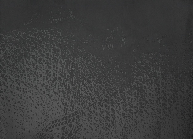  Kudzu,&nbsp;charcoal on black paper, 70.5” x 51”, 2014 