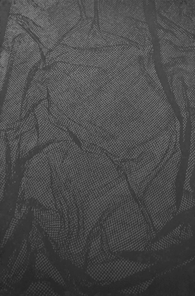  Netting, charcoal on black paper, 48”x 32”, 2015 