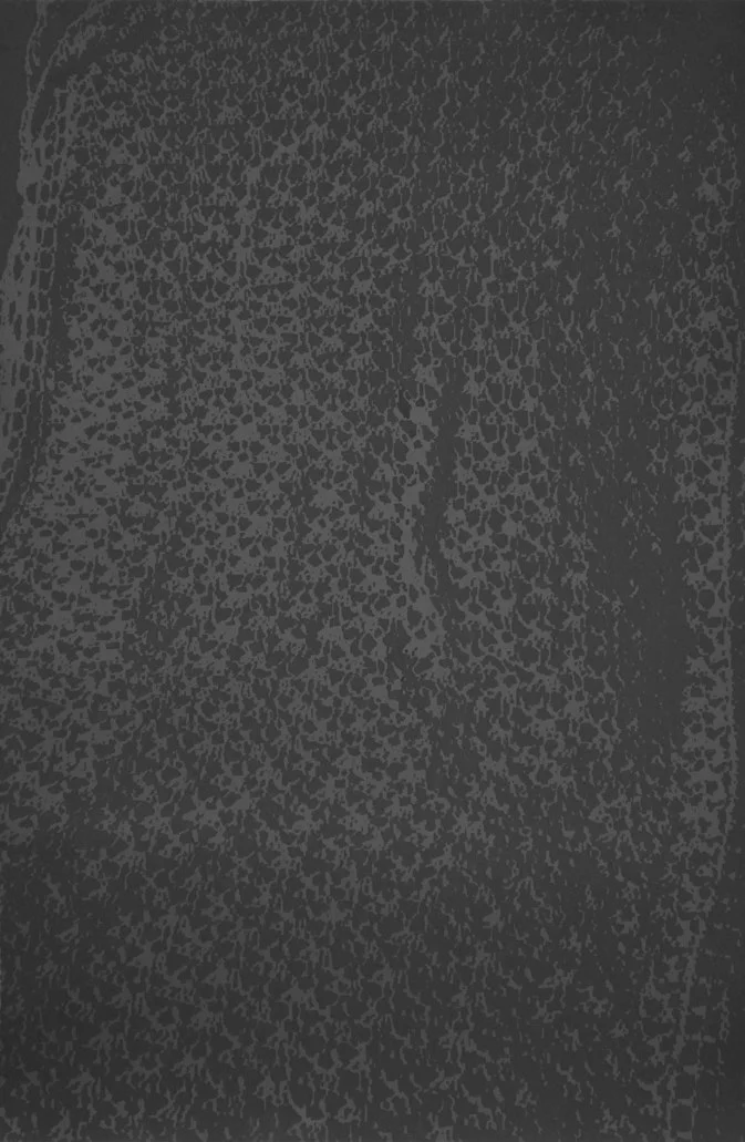  Cascade, charcoal on black paper, 60” x 39.5”, 2013 